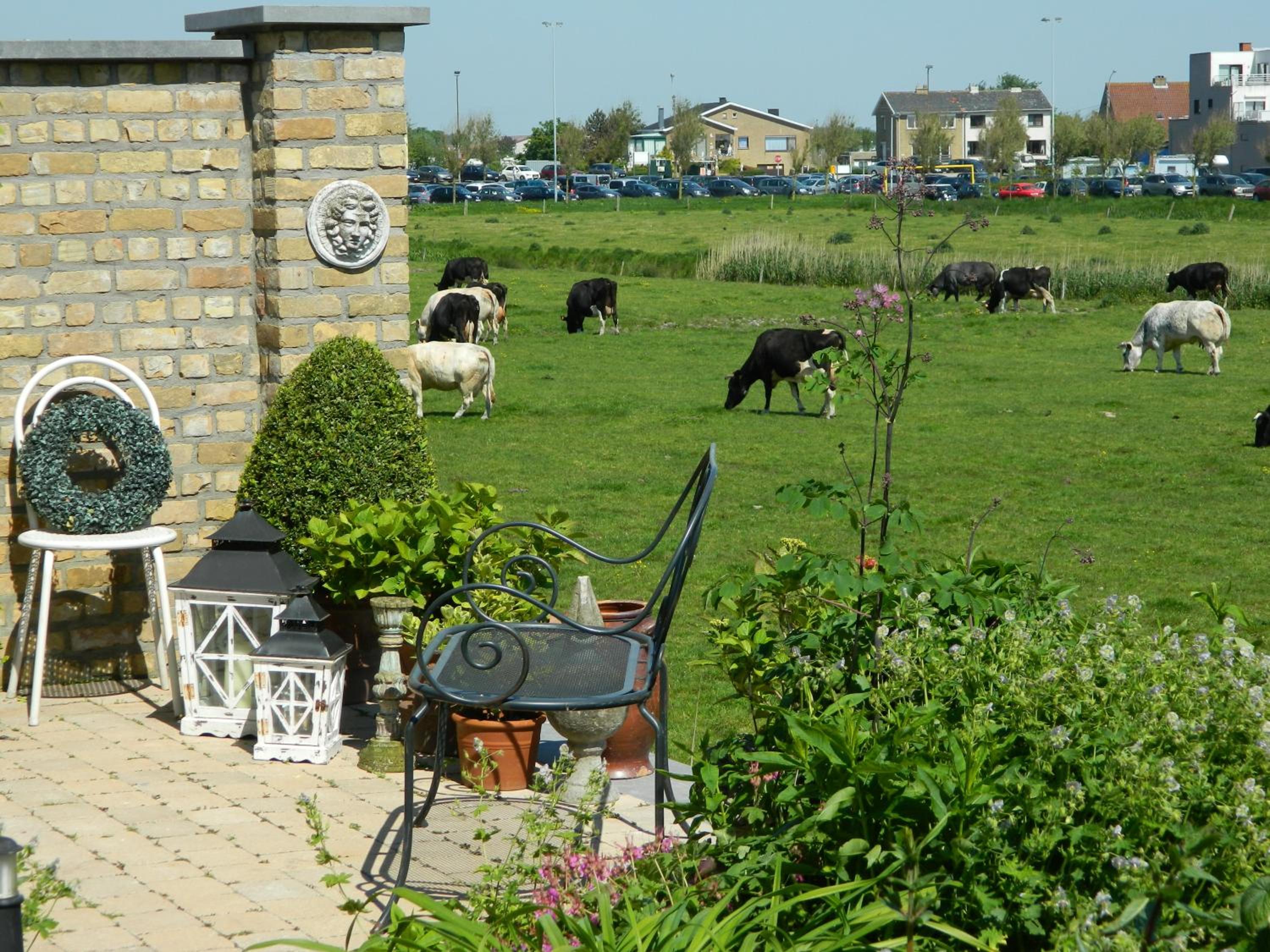 Bed & Breakfast Het Zilte Zand - luxe ontbijt - gratis parking - Westende Middelkerke