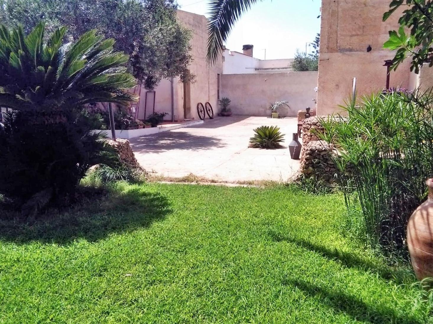 Photo 41