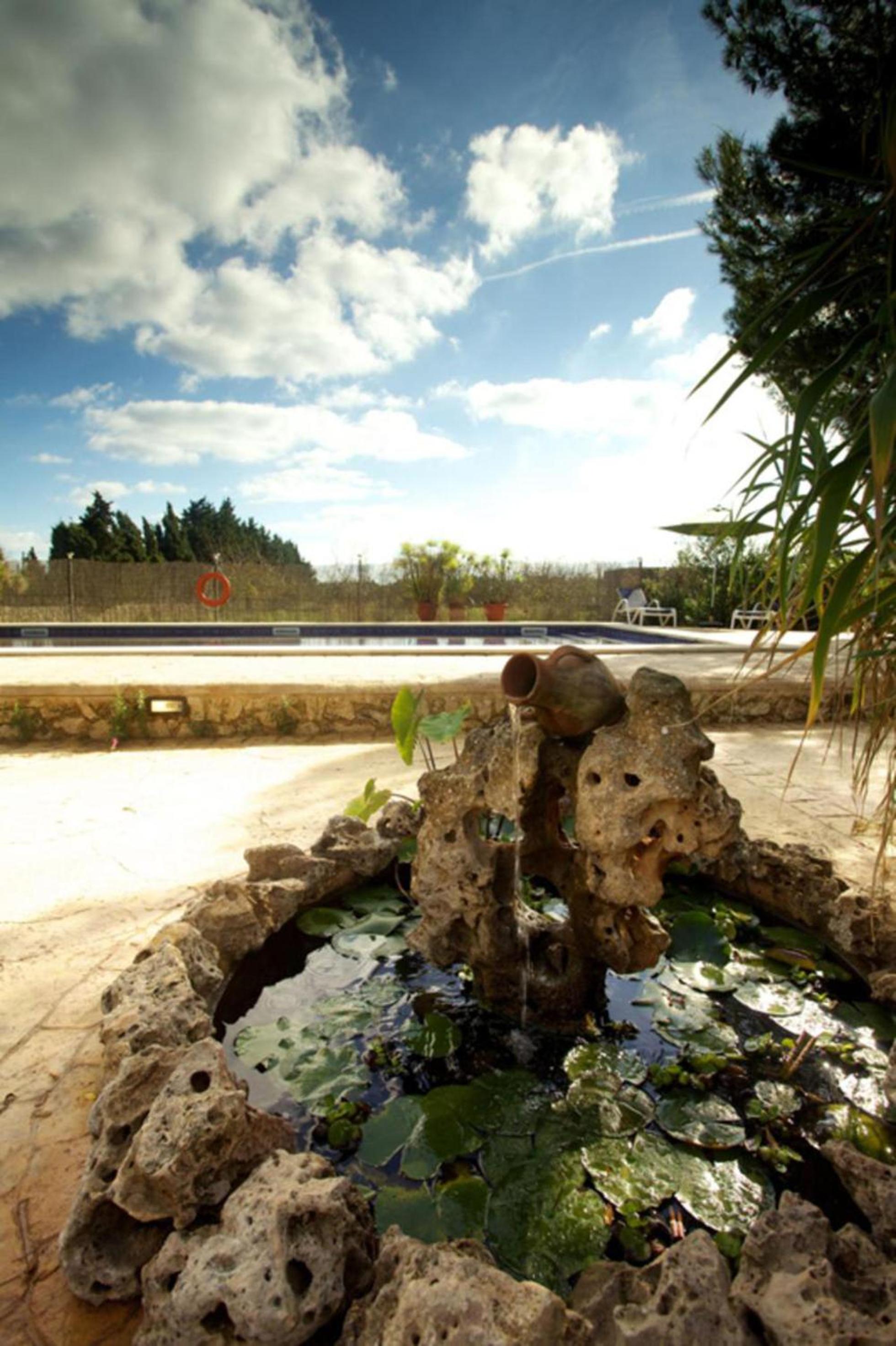 Photo 8