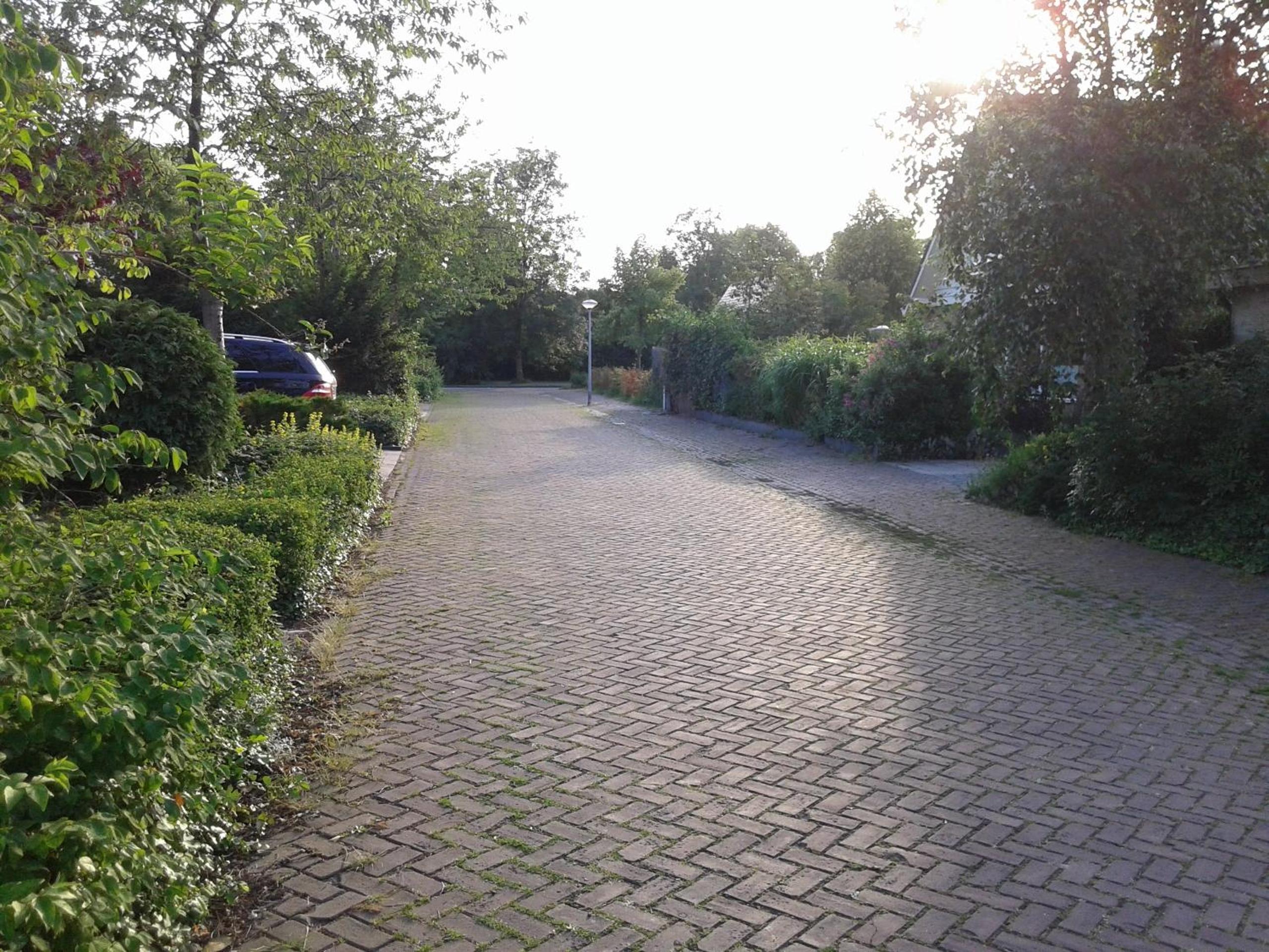 Photo 44