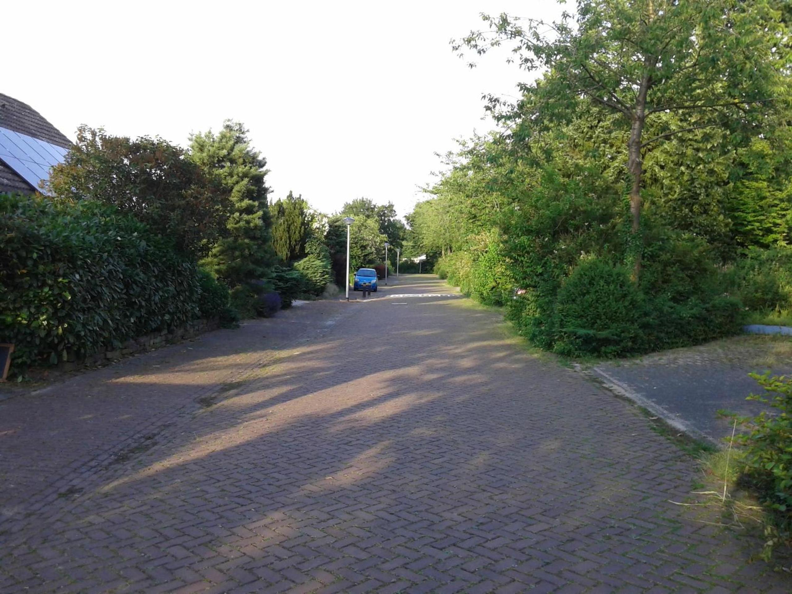 Photo 45