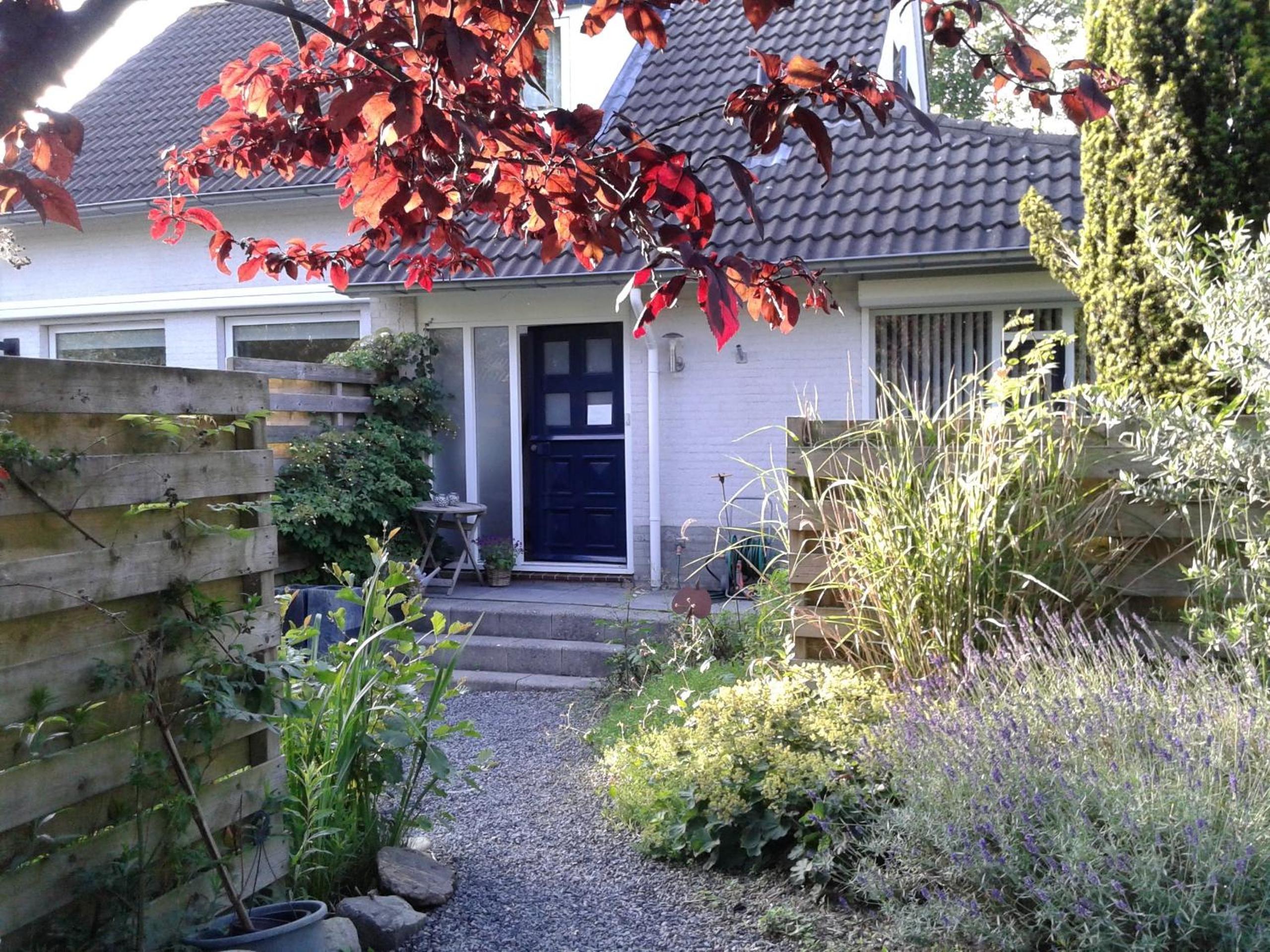 Photo 43
