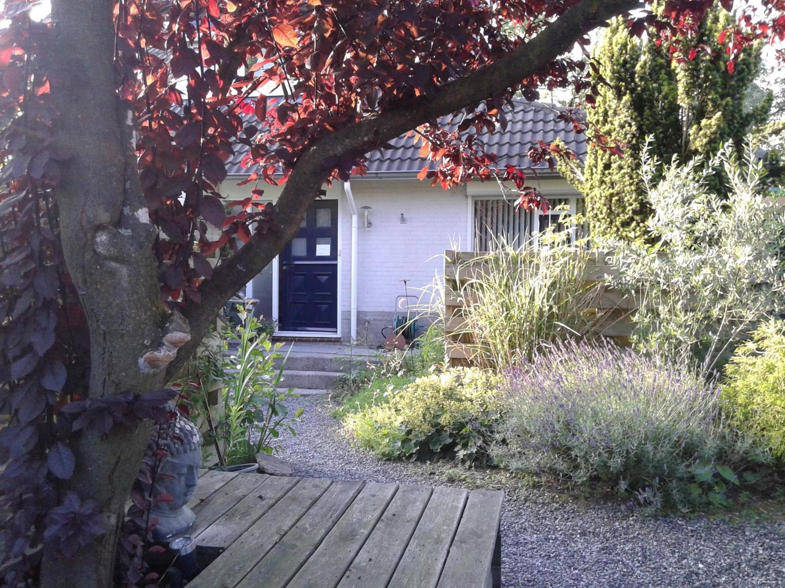 Photo 37
