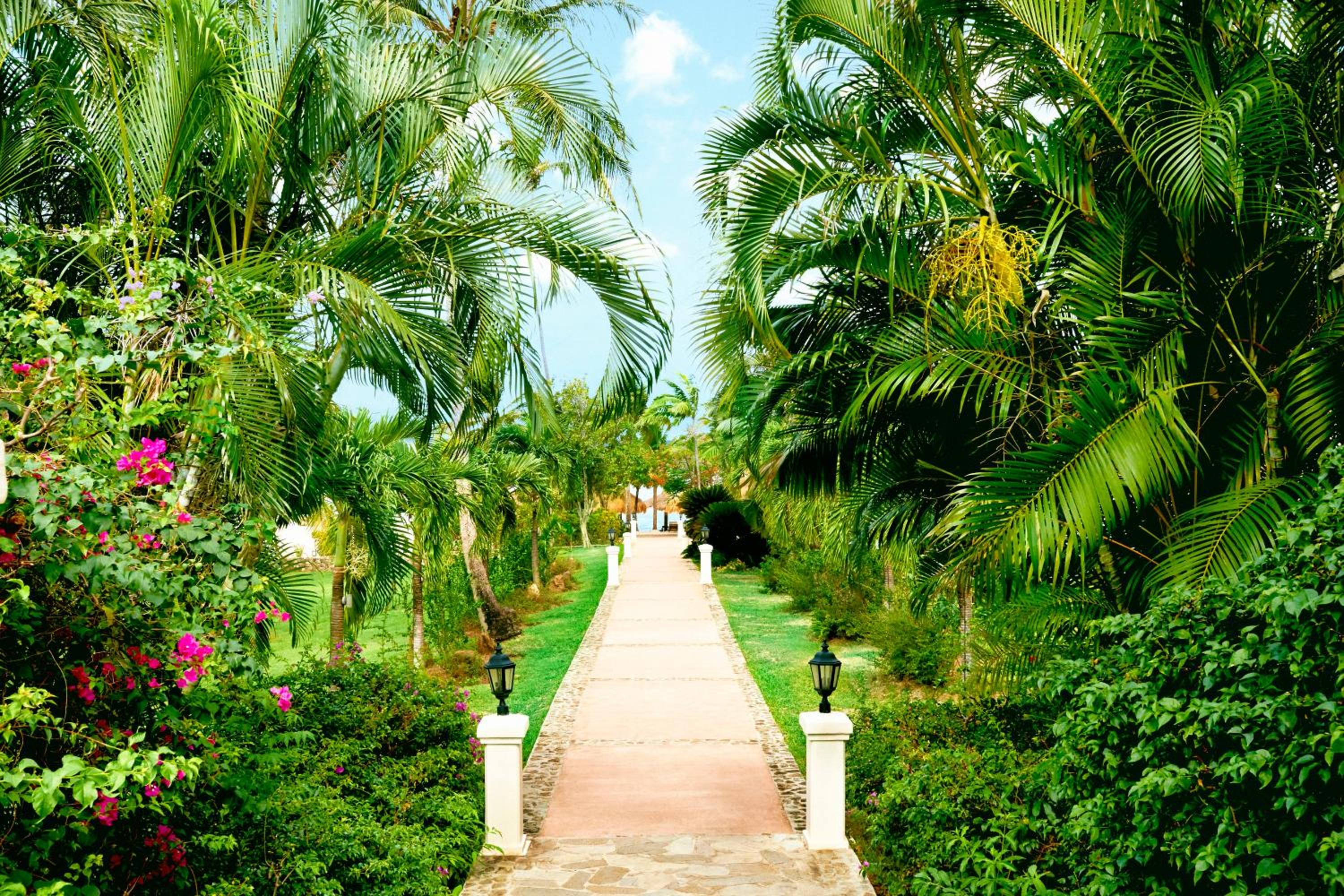 Sugar Beach, A Viceroy Resort - Photo 119