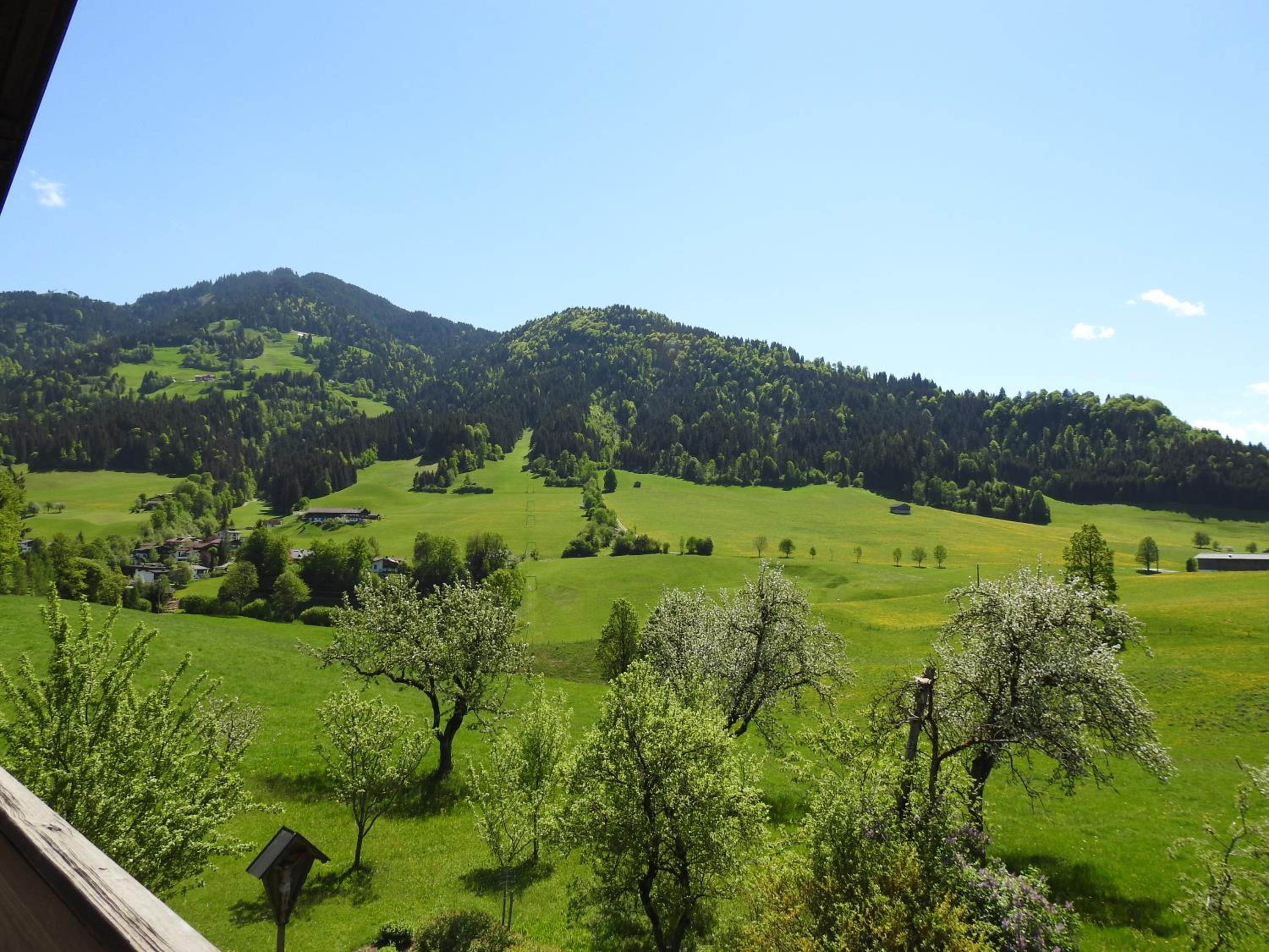 Bauernhof Hintenberg