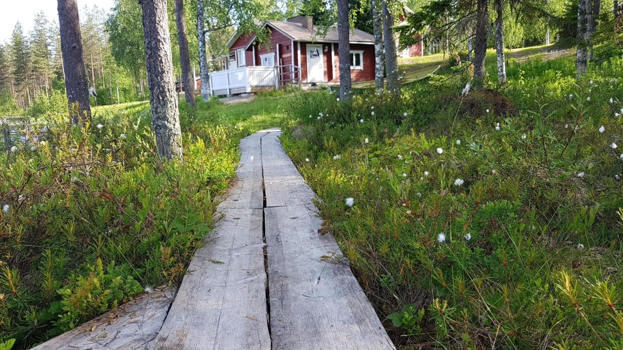 Photo 45