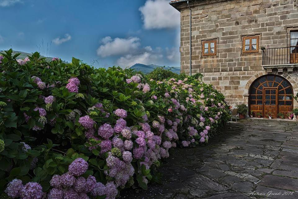 Casa Velarde - Property Image 4