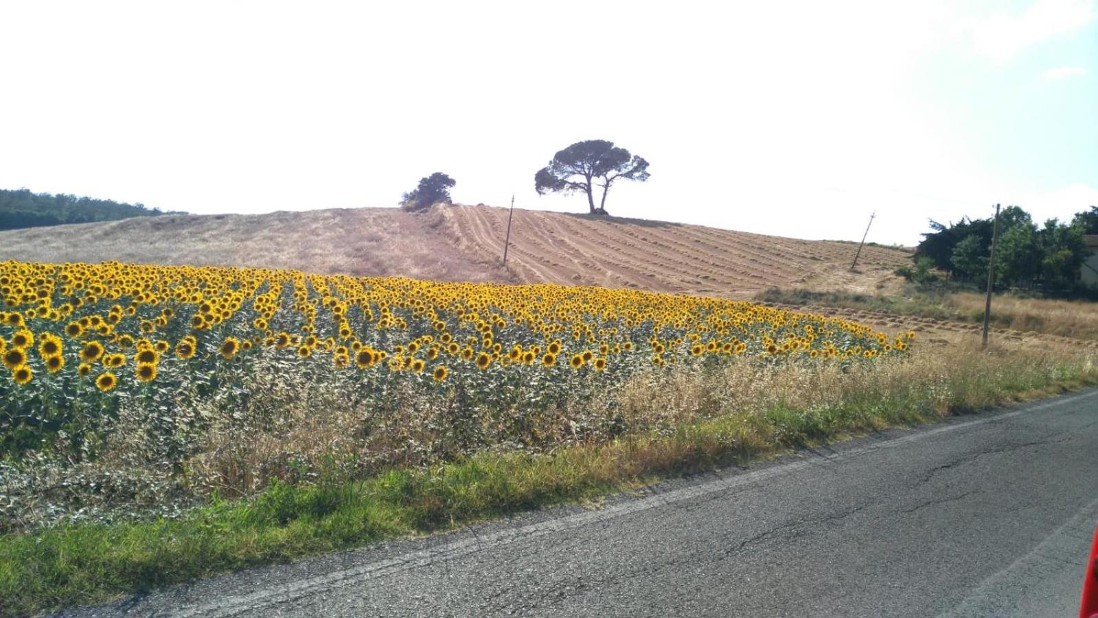 Agriturismo Da Paola