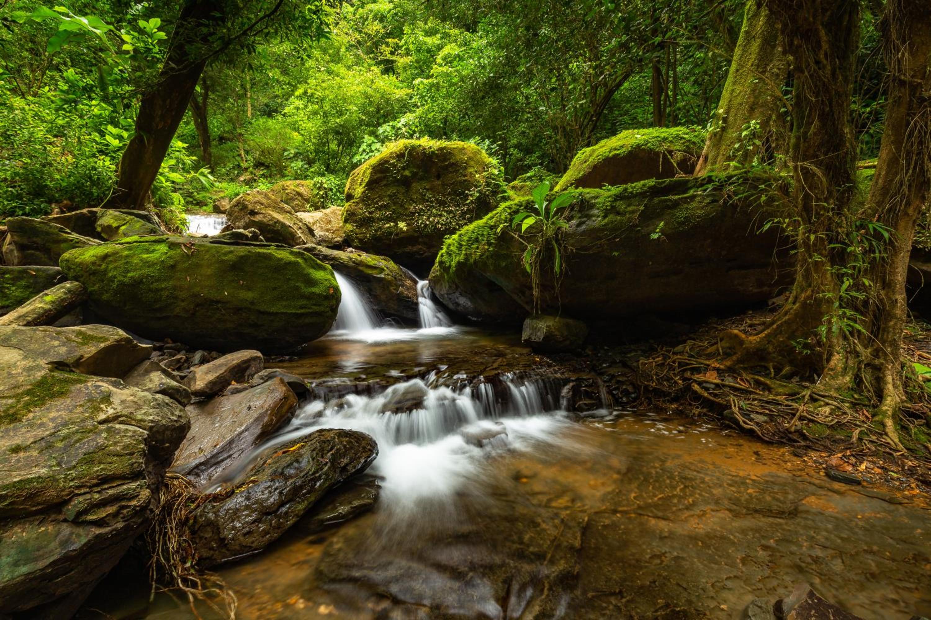 Cascada Elysiana