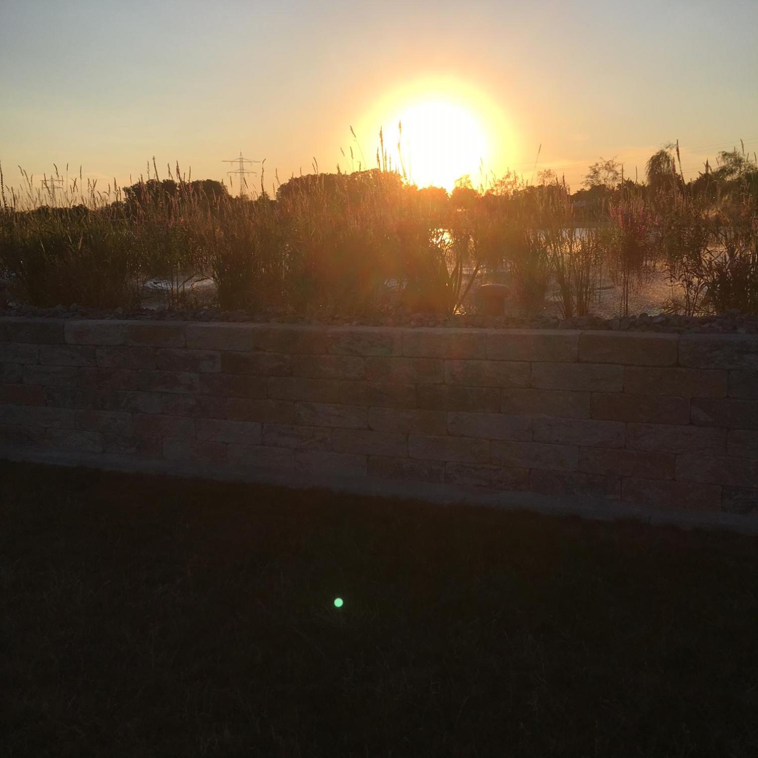 Photo 33
