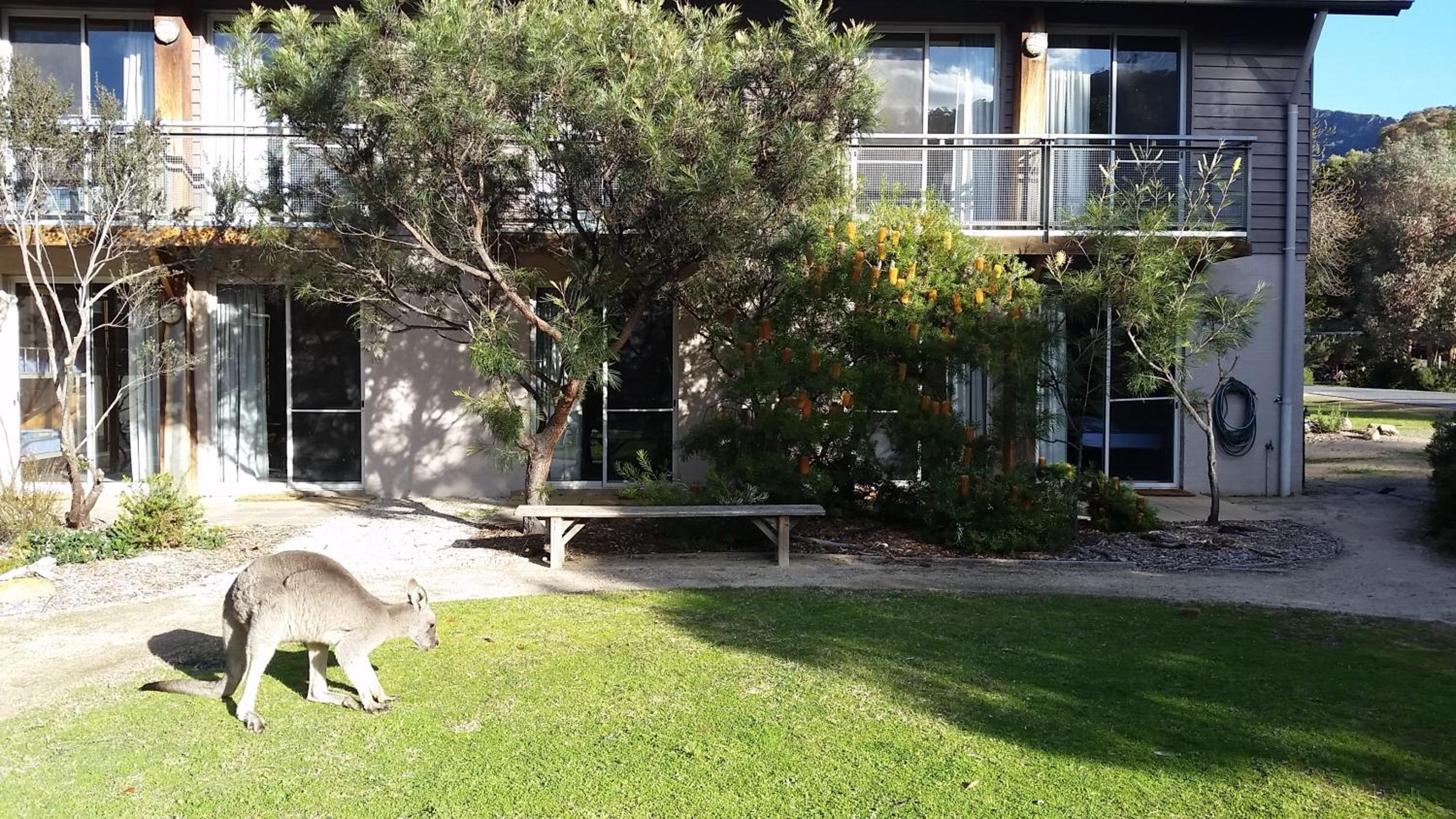 YHA Grampians Eco, Halls Gap