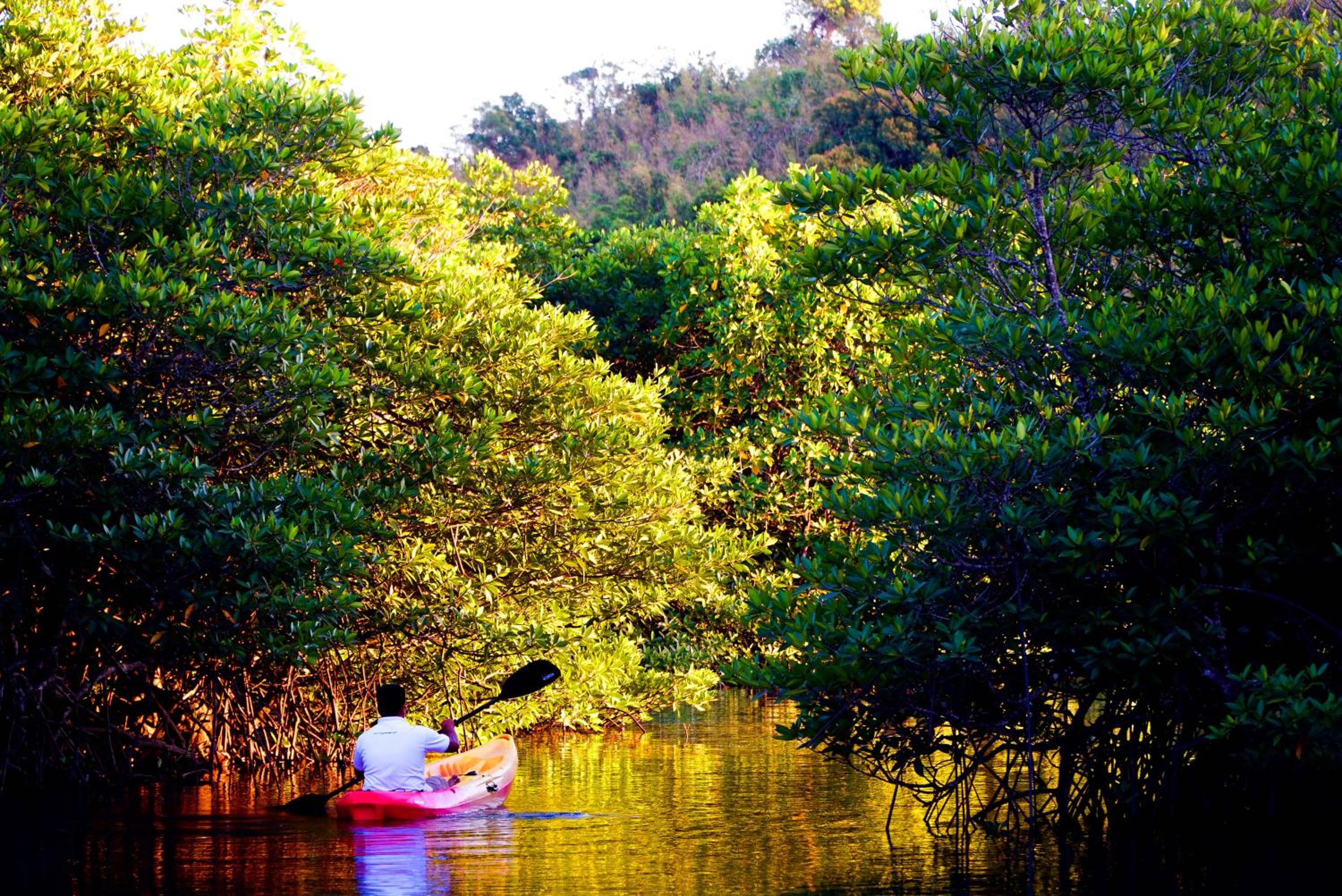 Bacau Bay Resort Coron