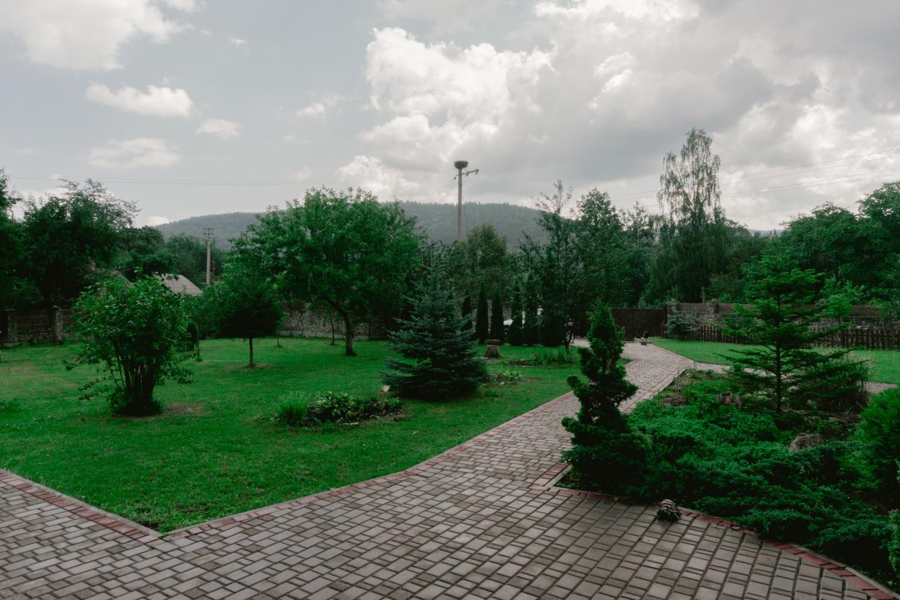 Kryvyi brid view 4