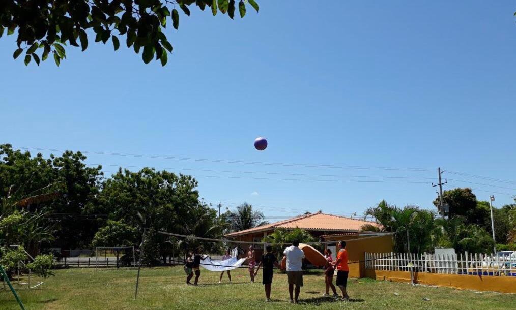 Photo 44