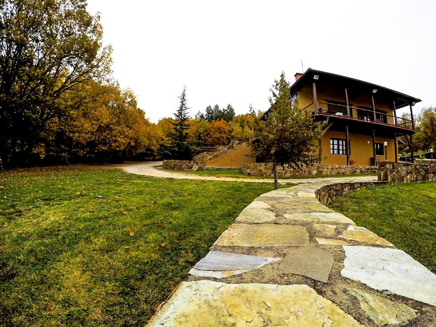 Photo 21