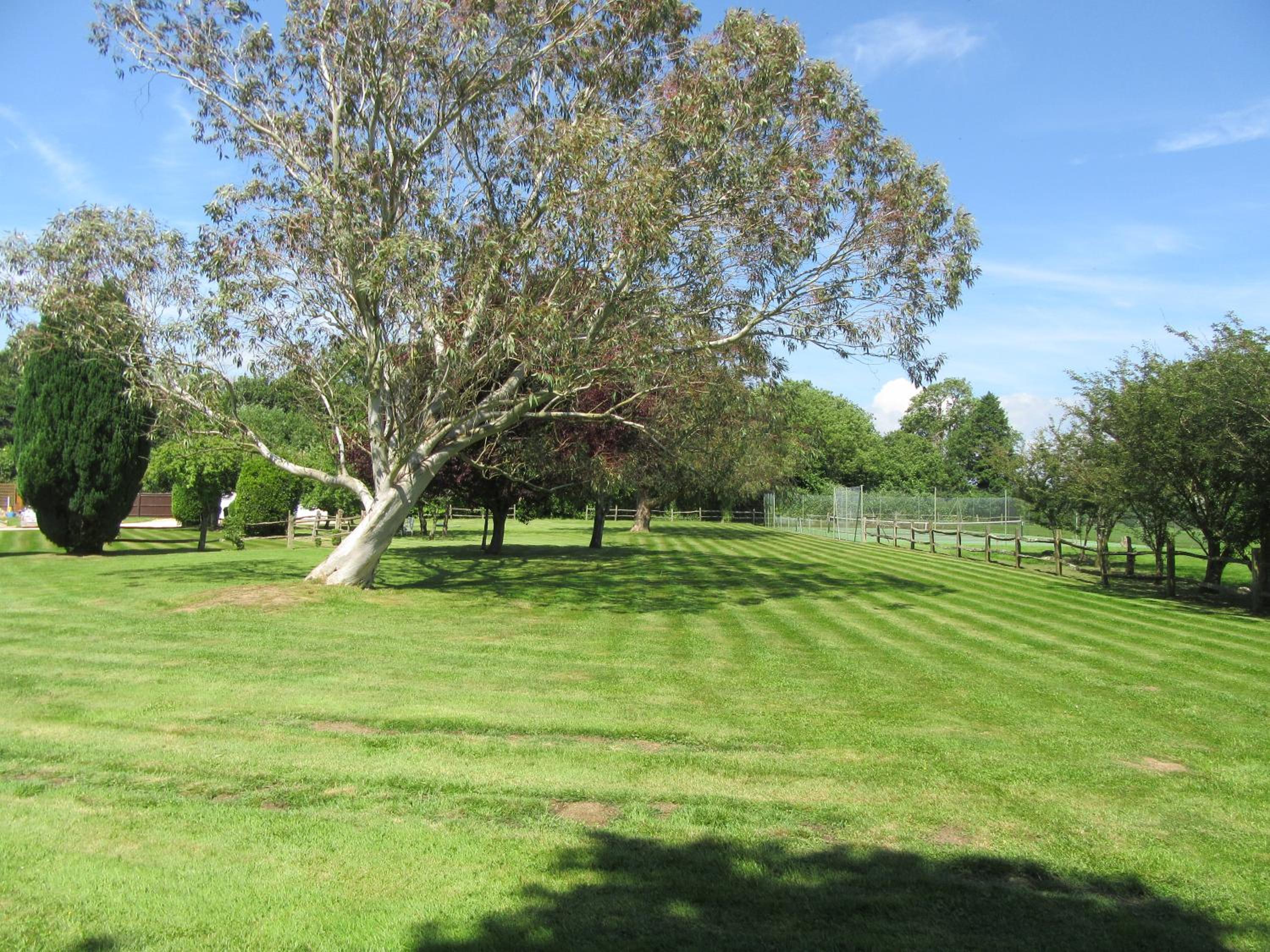 Photo 22