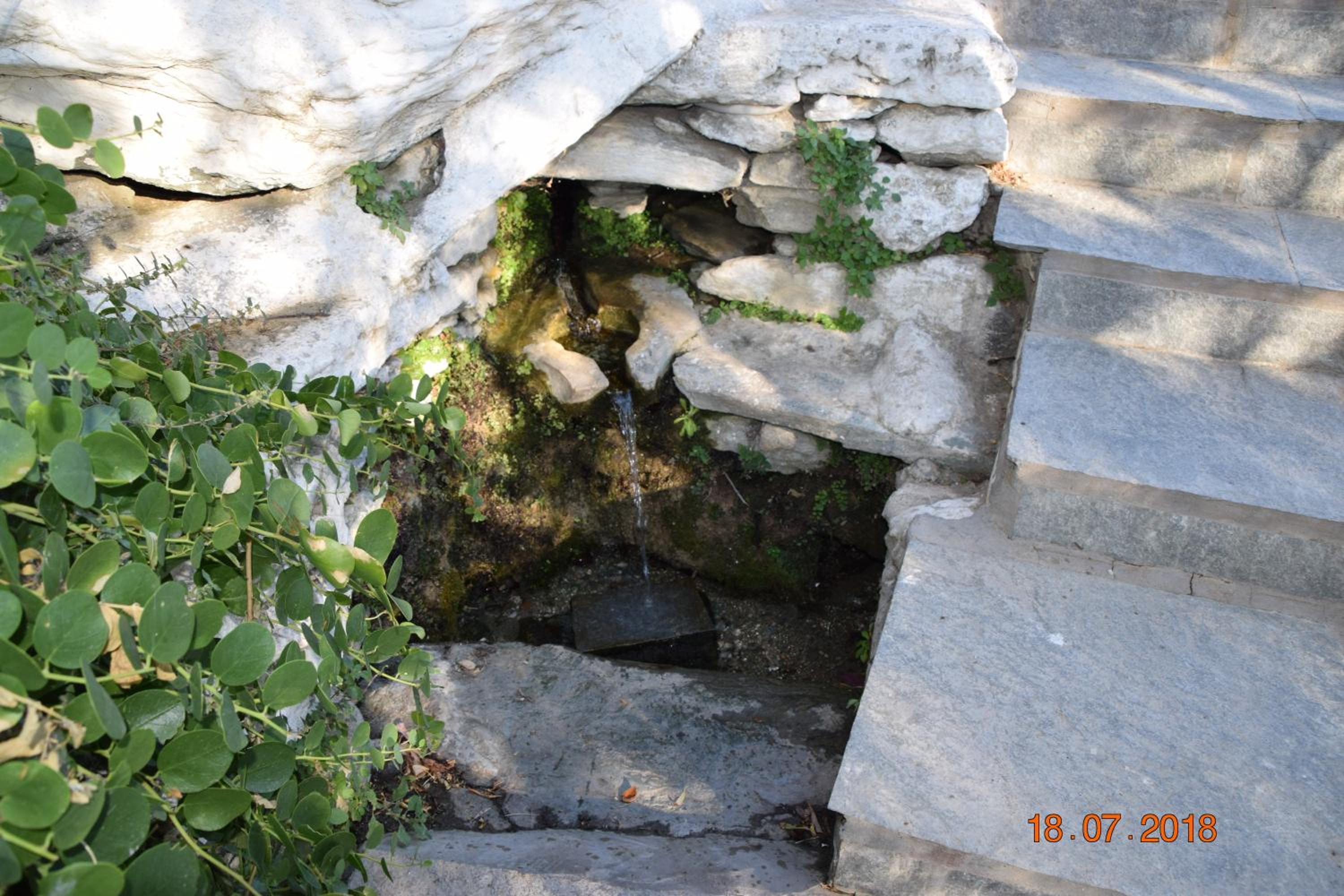 Photo 42