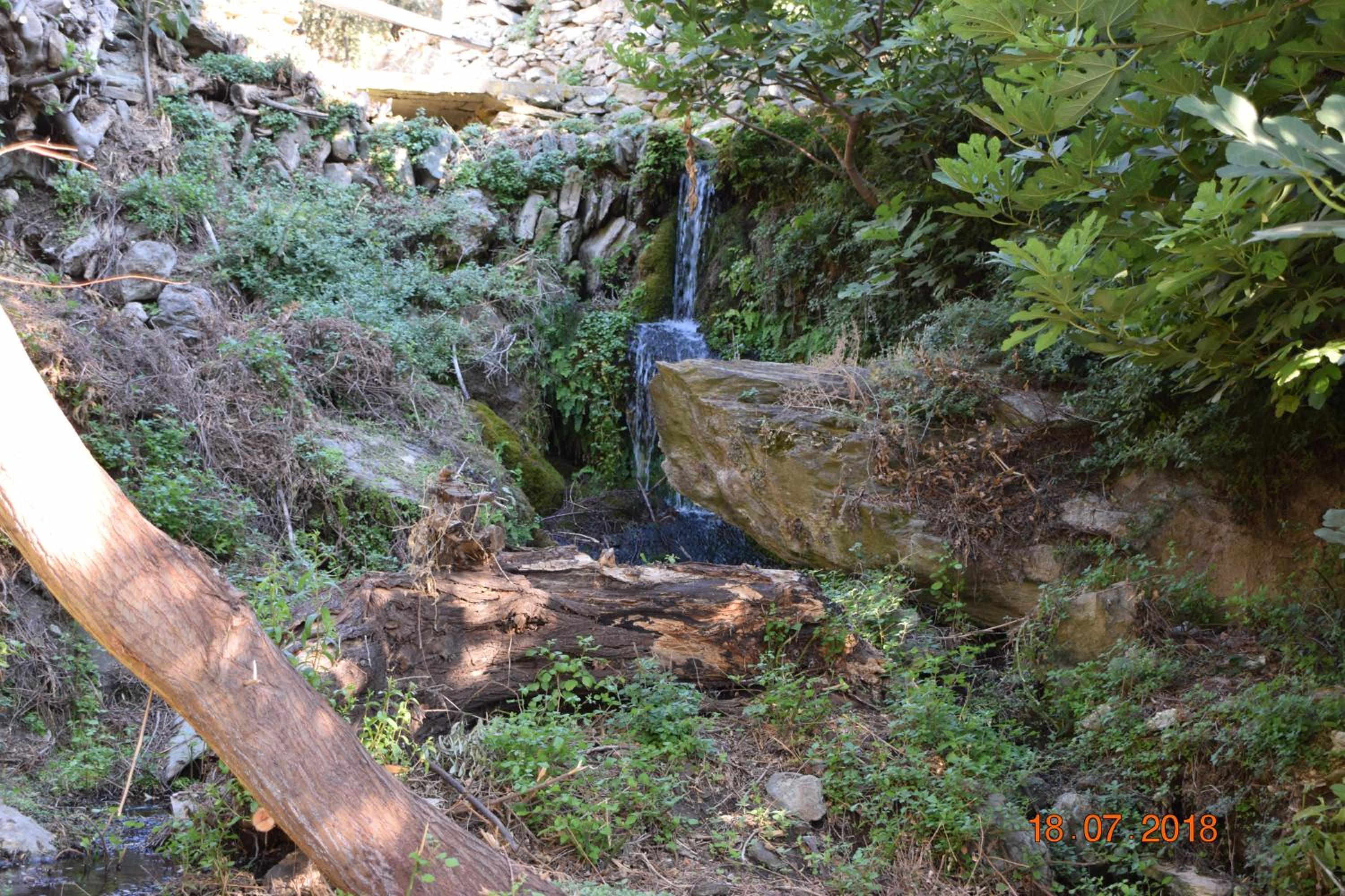 Photo 41
