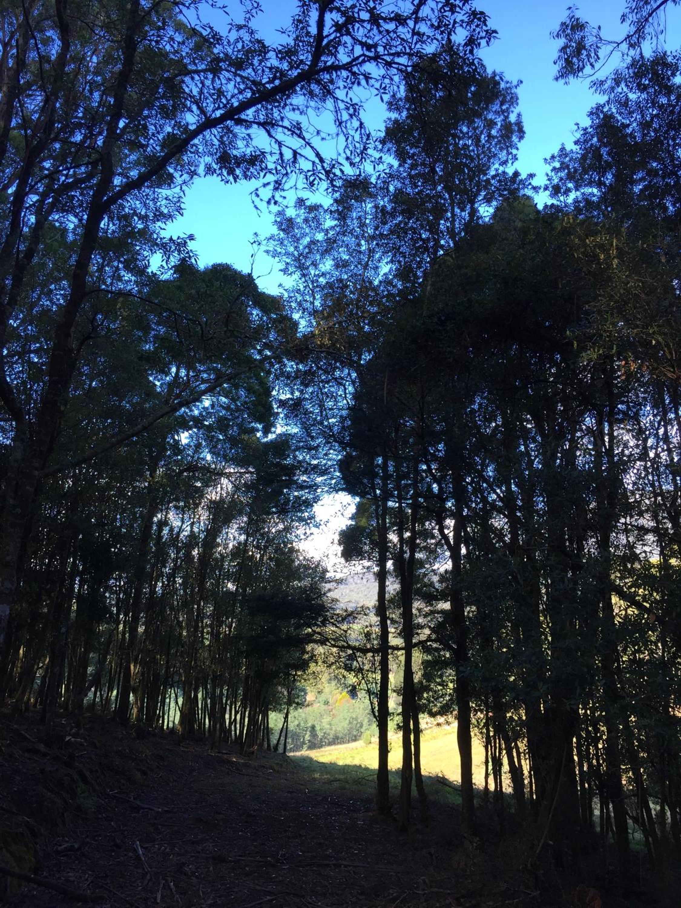 Manna Hill Farm