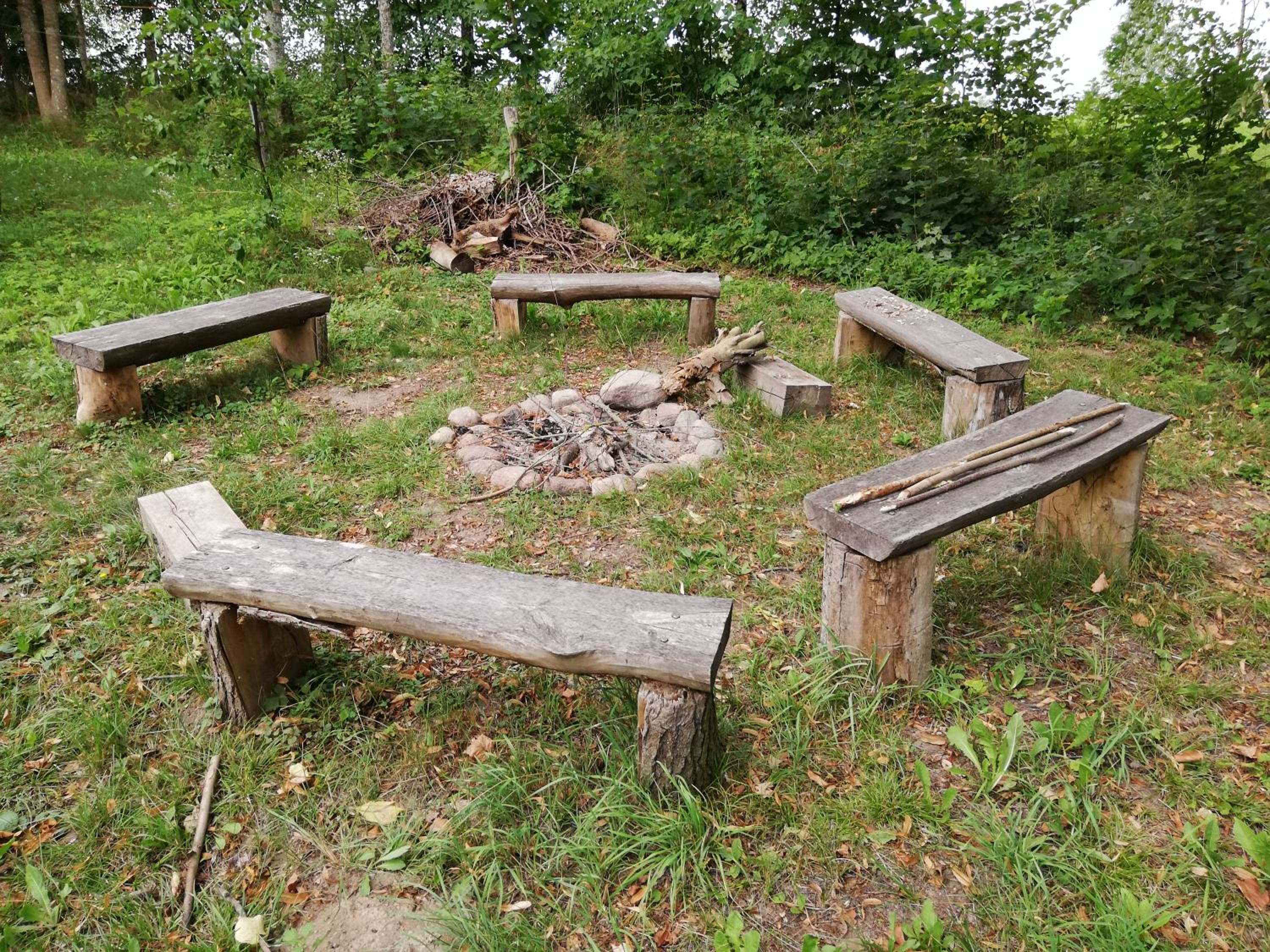 Photo 12