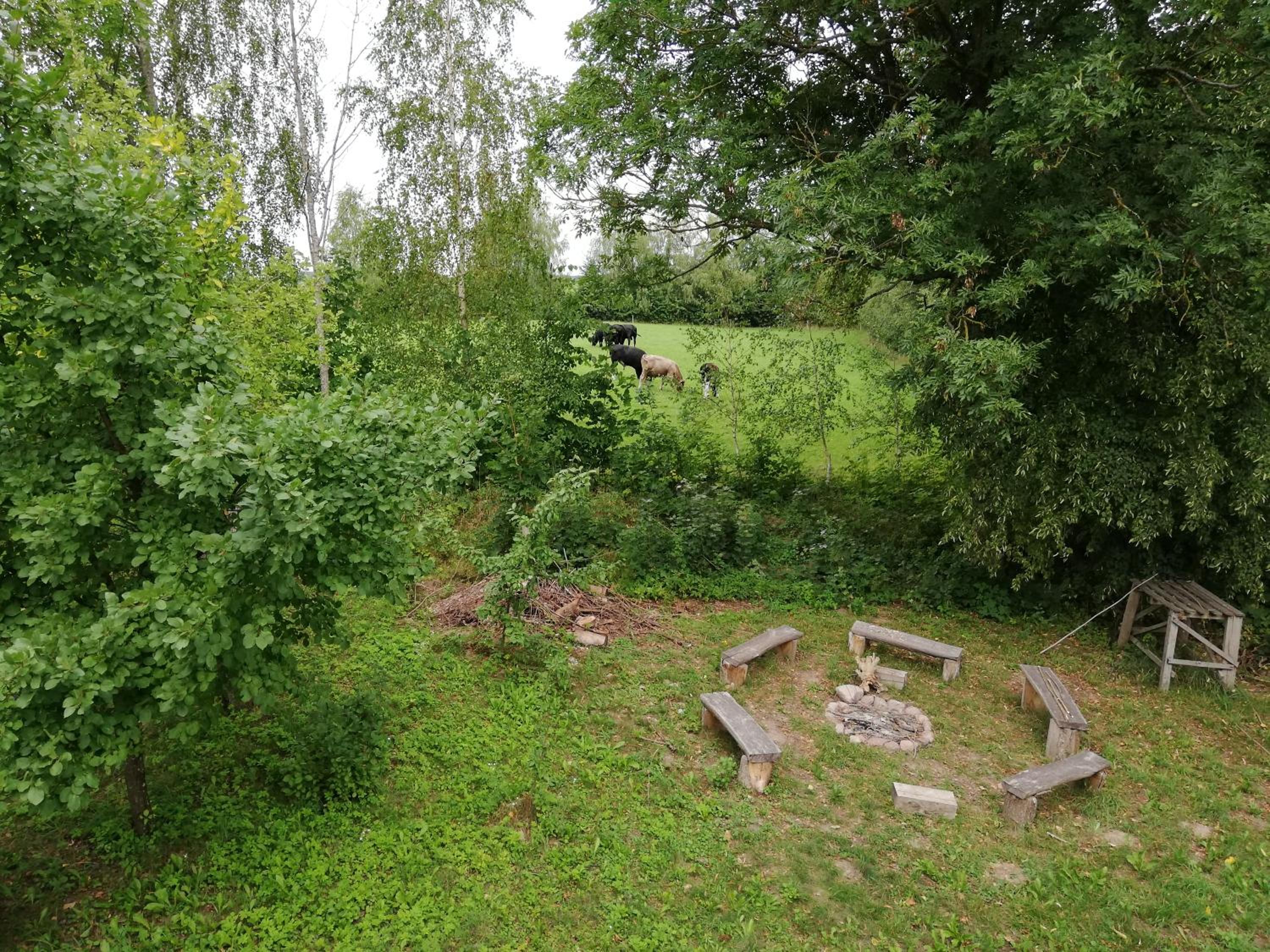 Photo 11