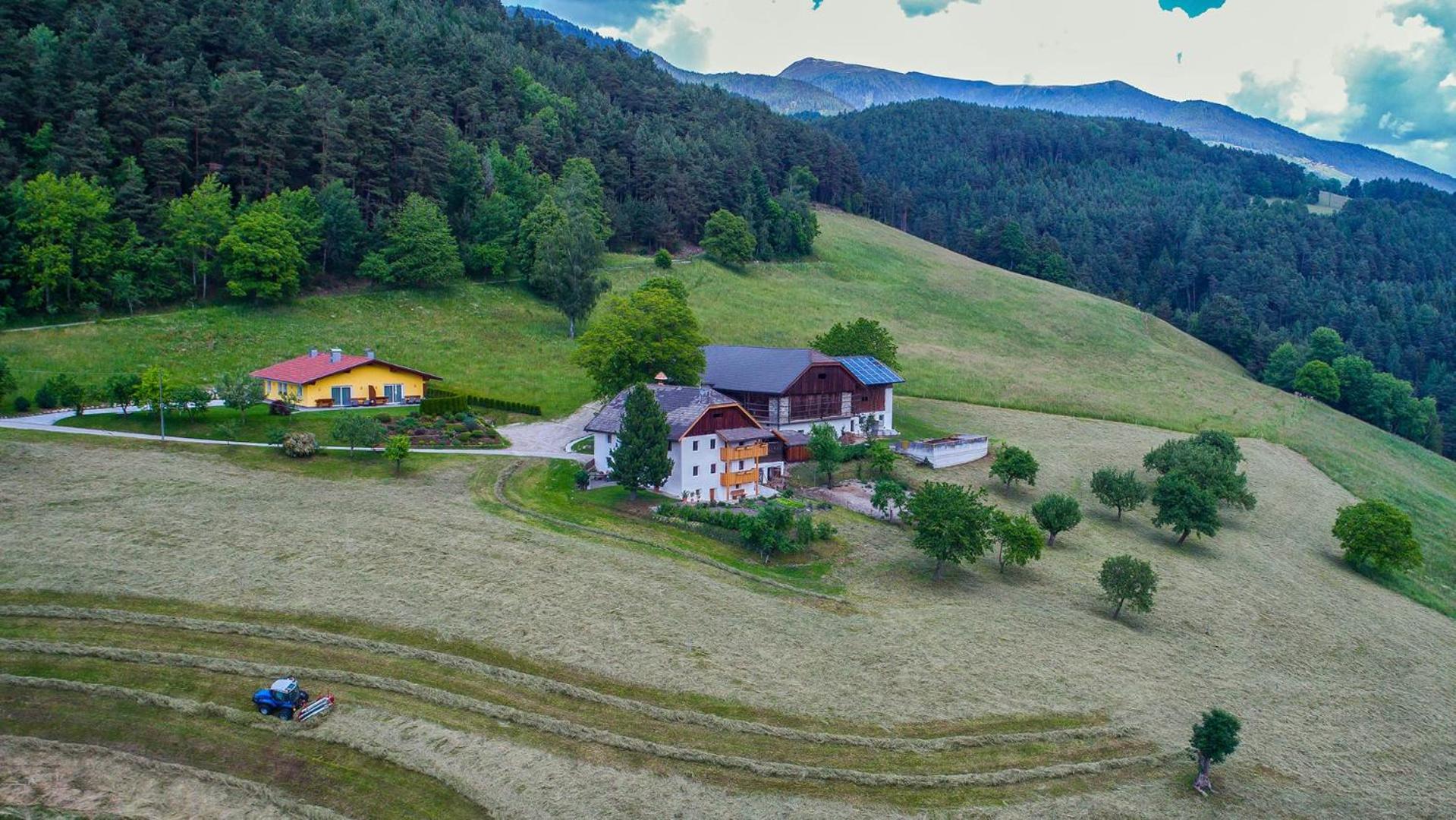 Appartament Eichnerhof view 5