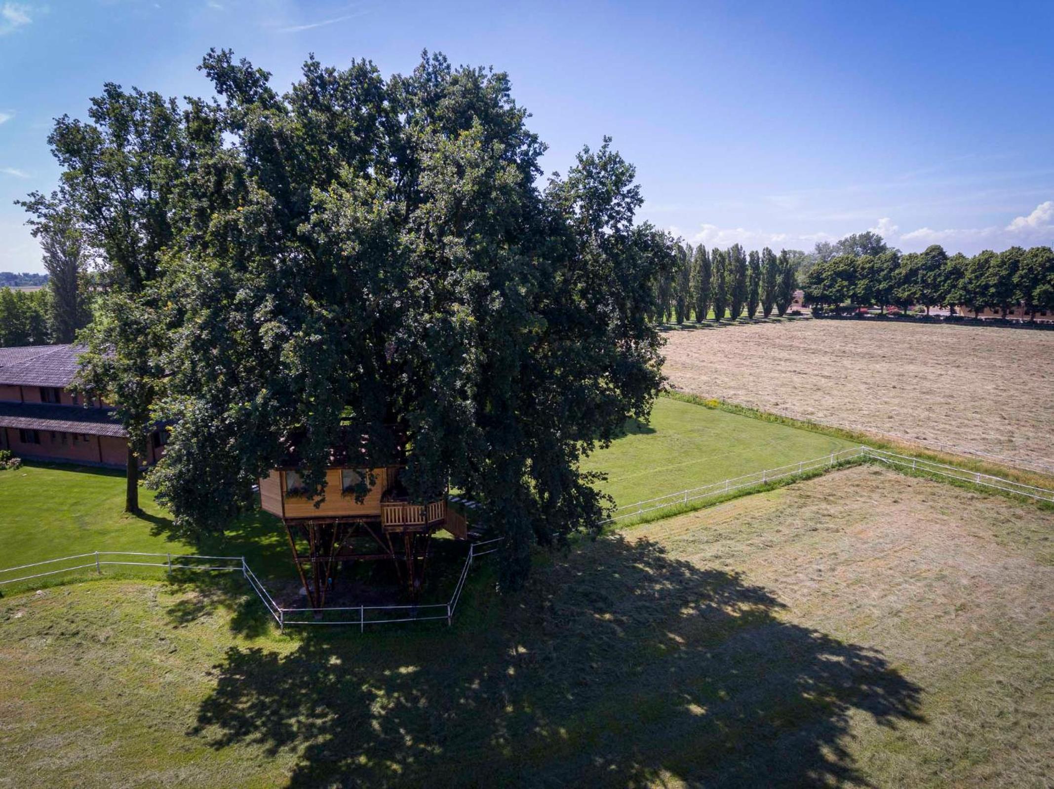Agriturismo Tenuta 