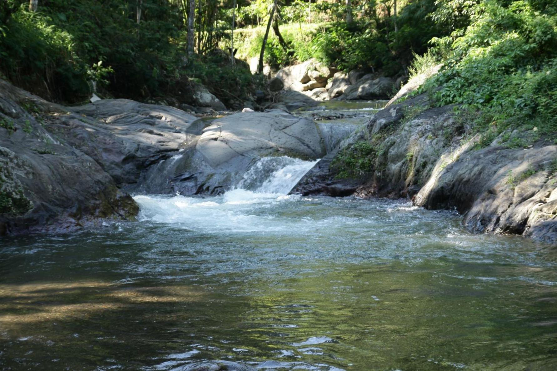 Photo 47