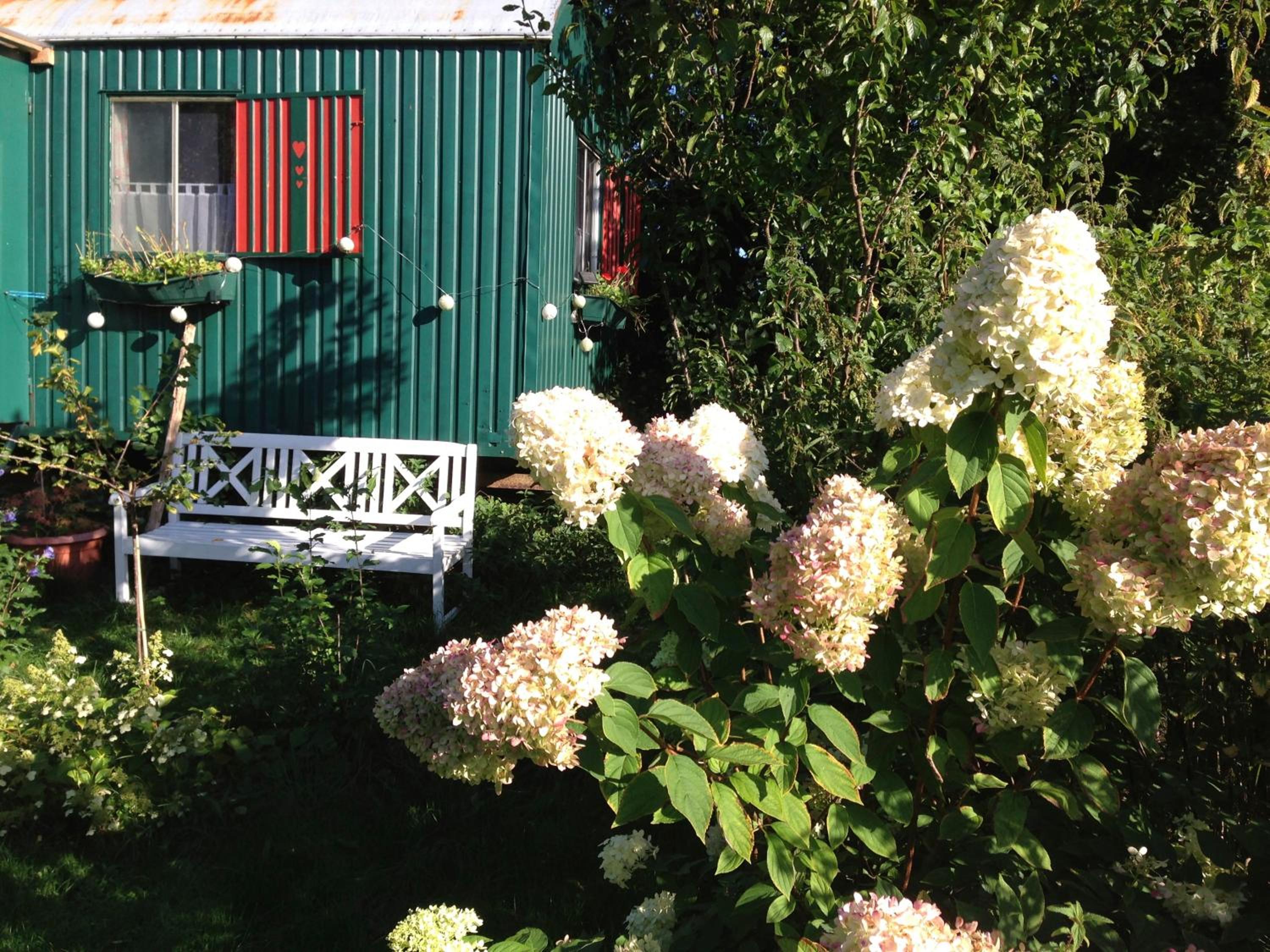 Alte Kate mit Bau-& Zirkuswagen im Gartenidyll in Putbus OT Kasnevitz