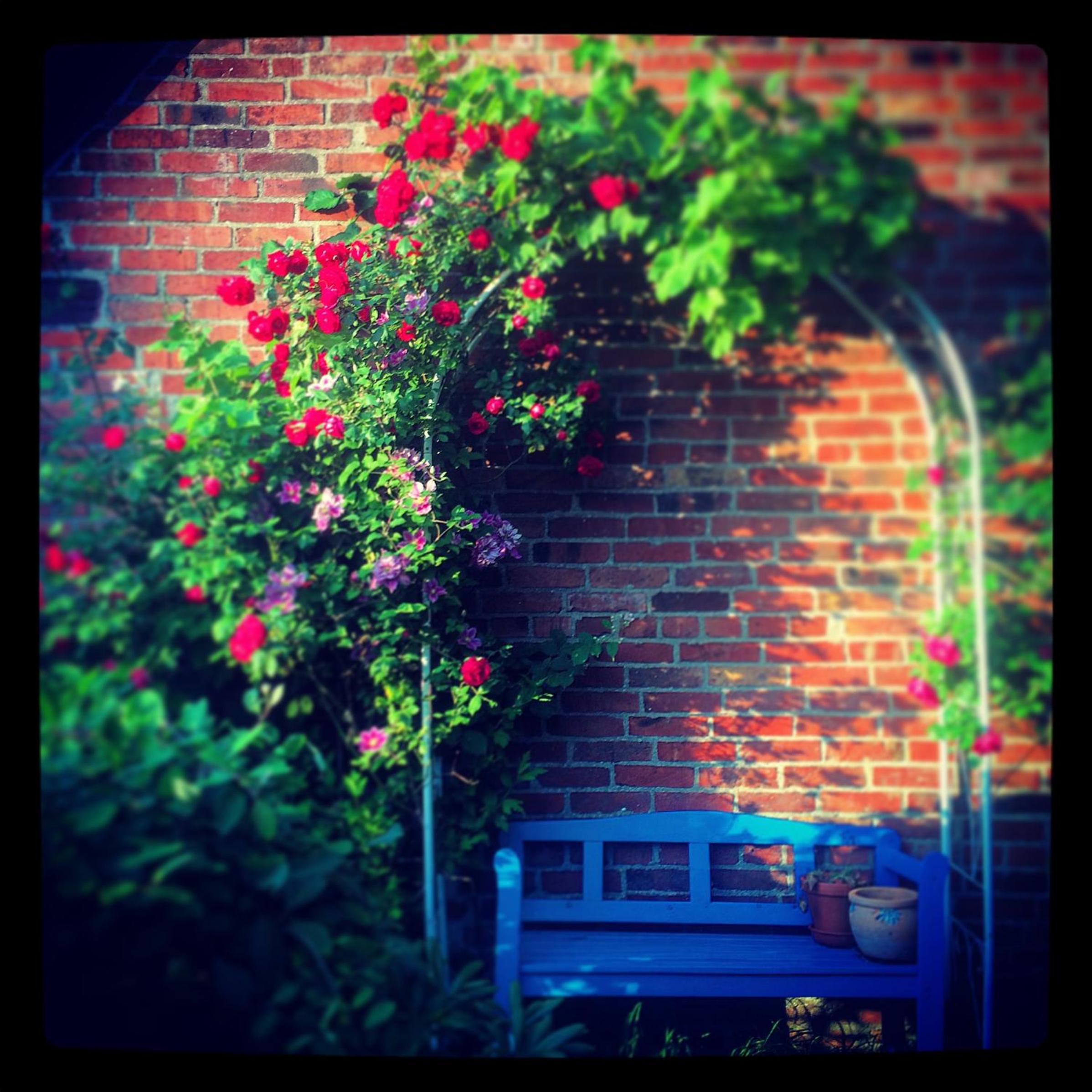 Alte Kate mit Bau-& Zirkuswagen im Gartenidyll in Putbus OT Kasnevitz