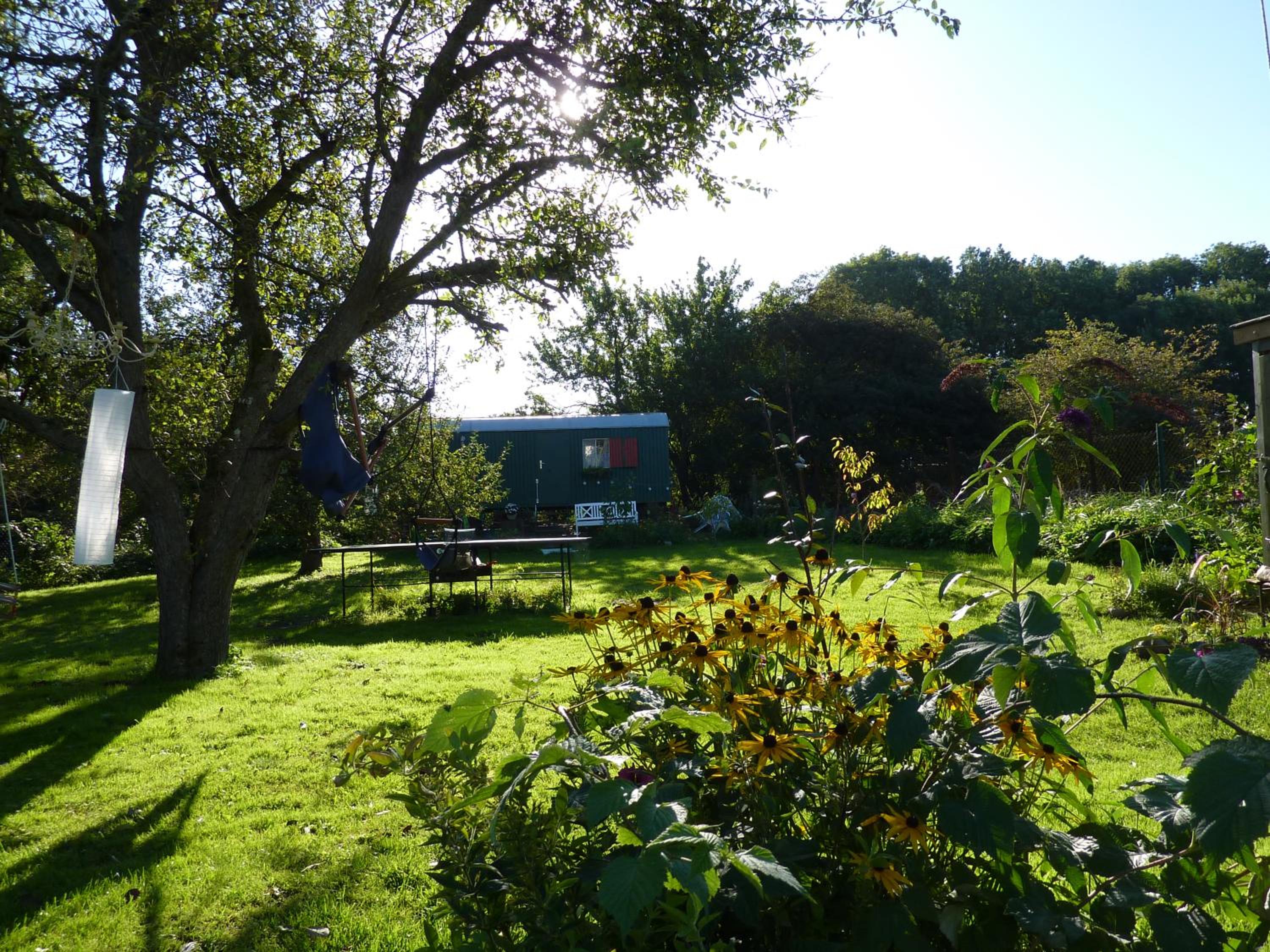 Alte Kate mit Bau-& Zirkuswagen im Gartenidyll in Putbus OT Kasnevitz