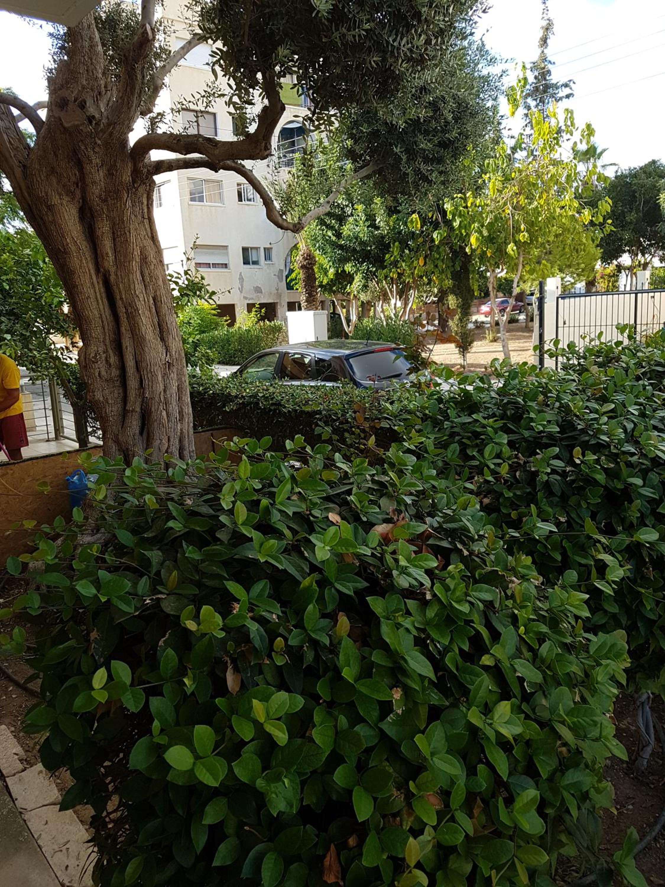 Kerynia Apartments