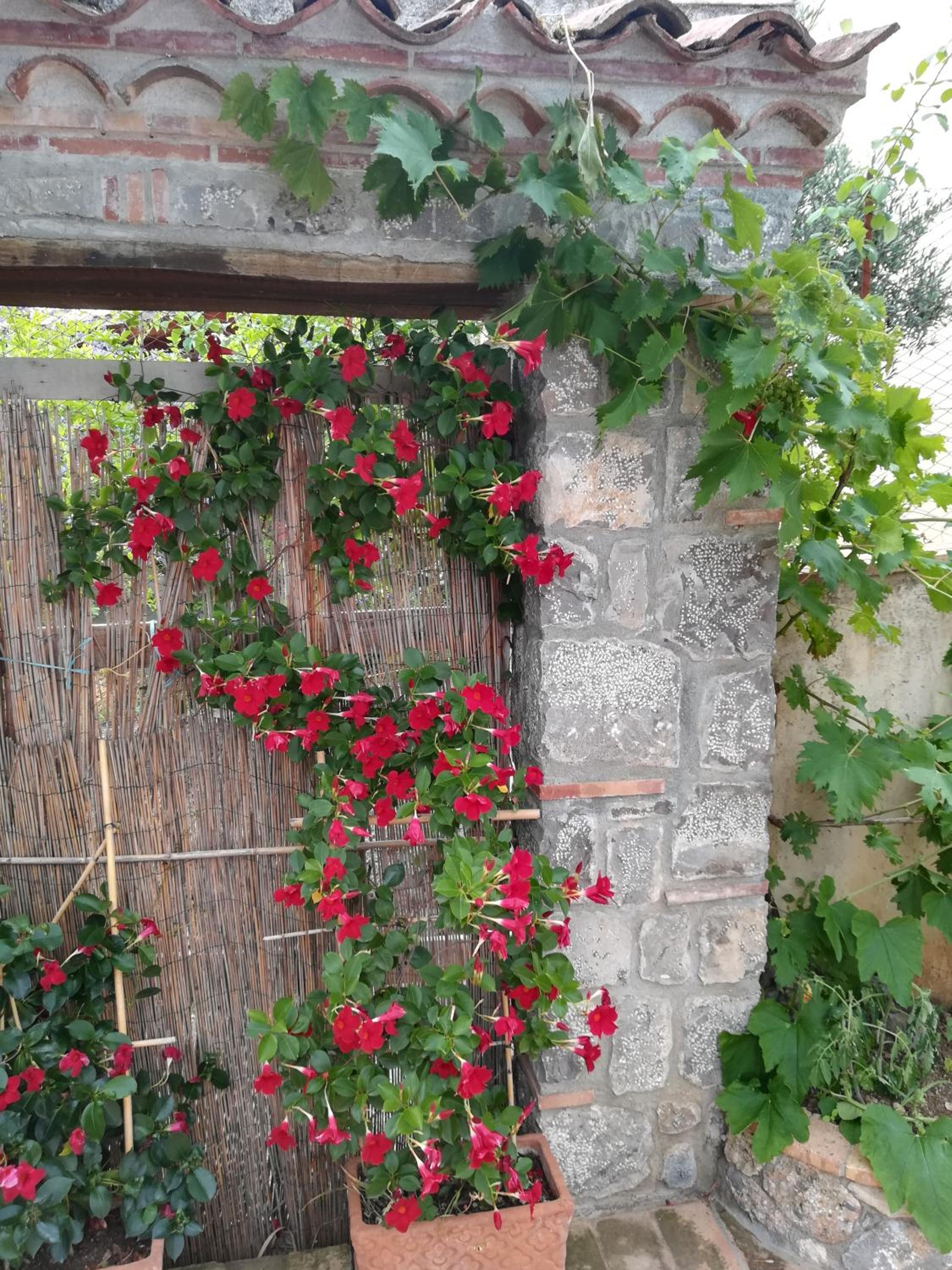 B&b La Giara