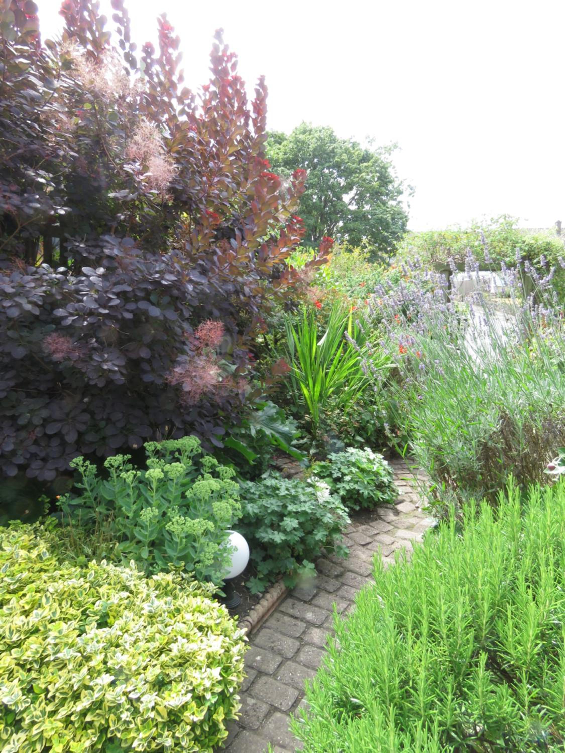 Photo 40