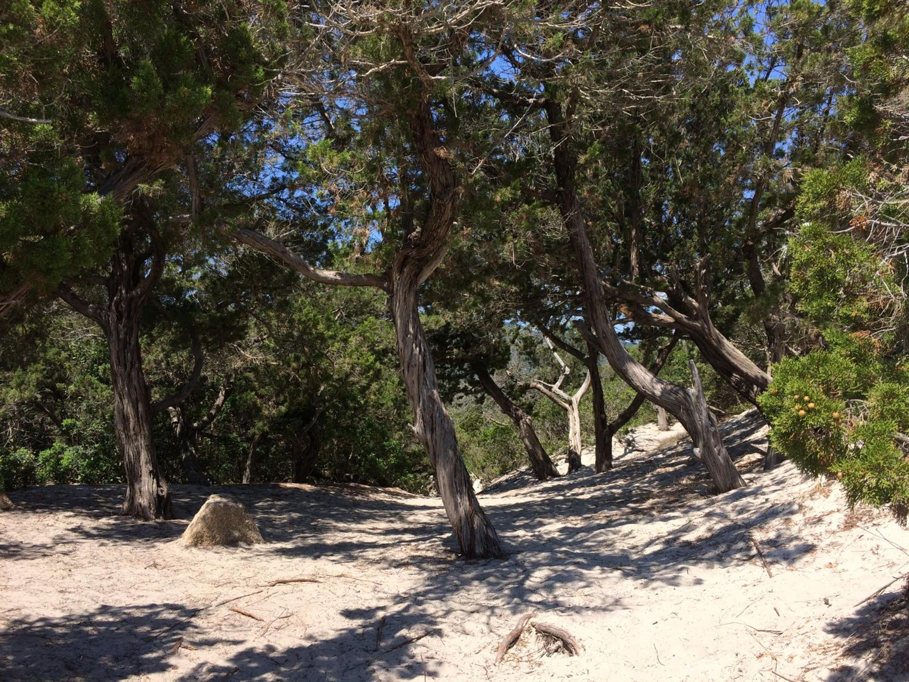 Photo 22