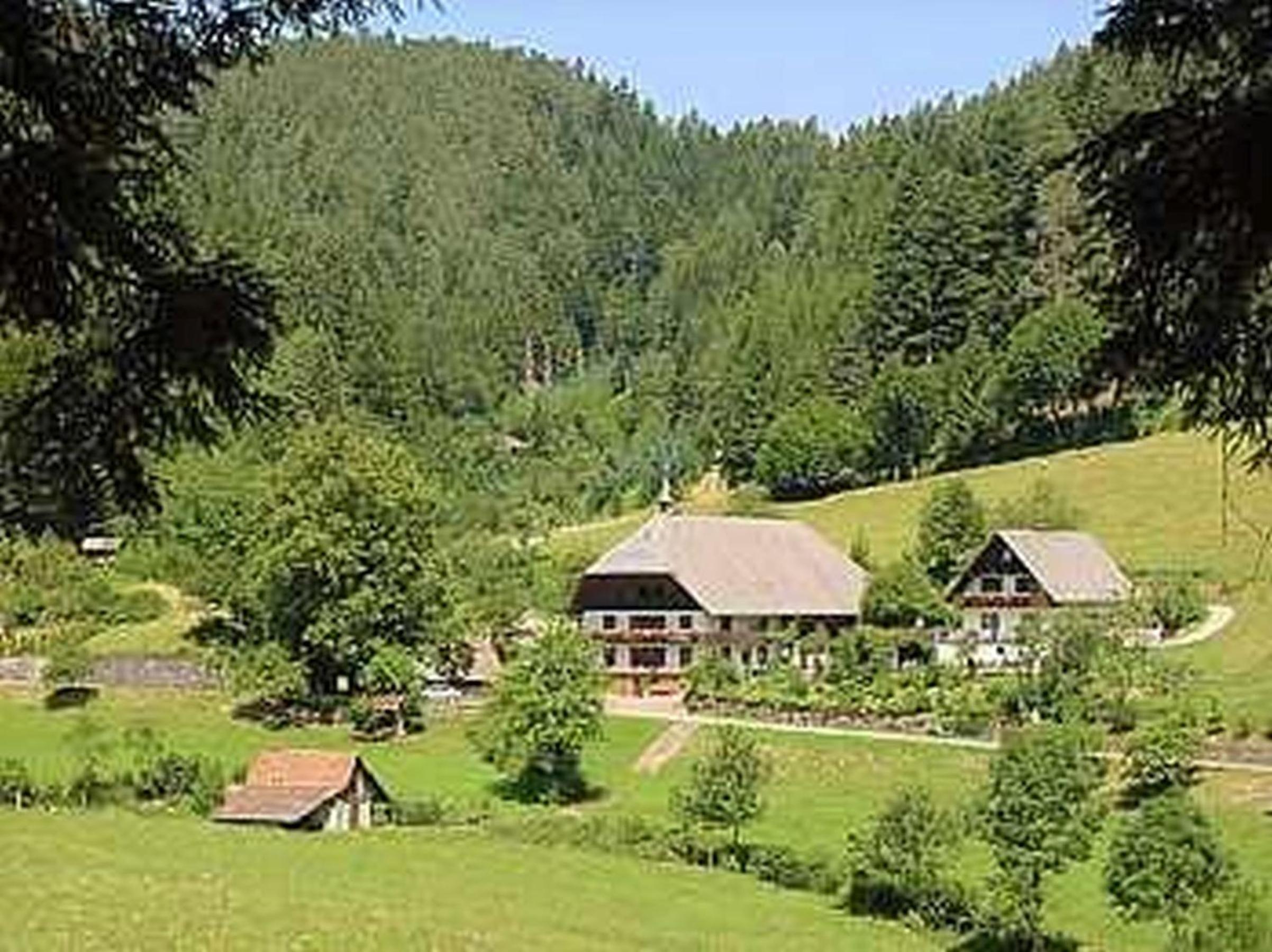 Waldbauernhof view 3