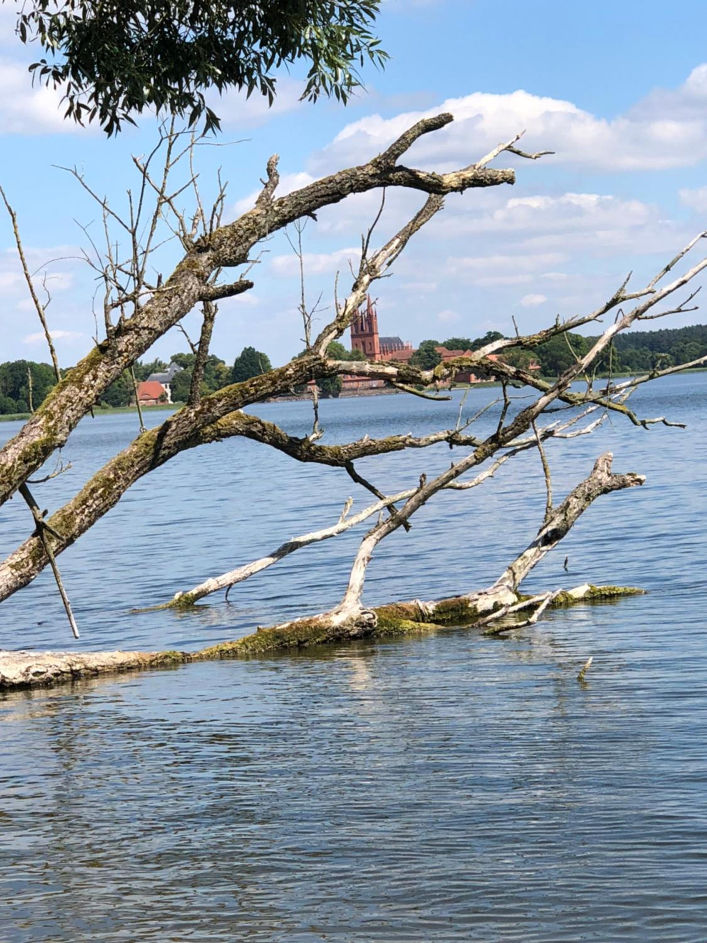 Bungalow am Dobbertiner See