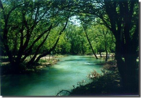Photo 39