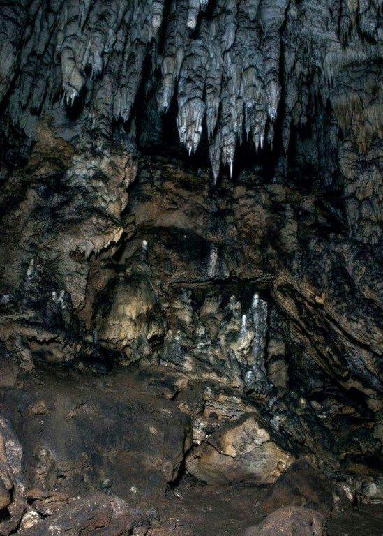 Photo 33