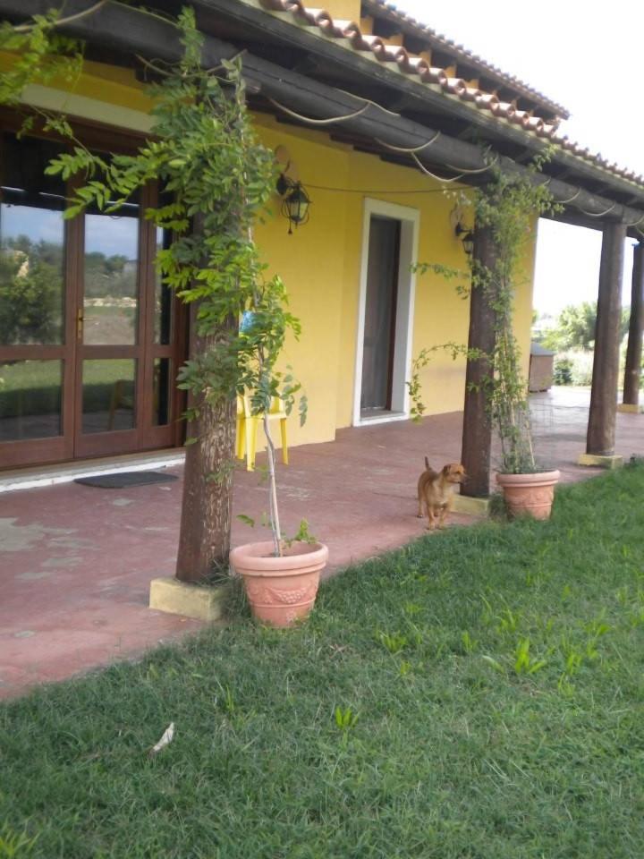 Affittacamere Luti