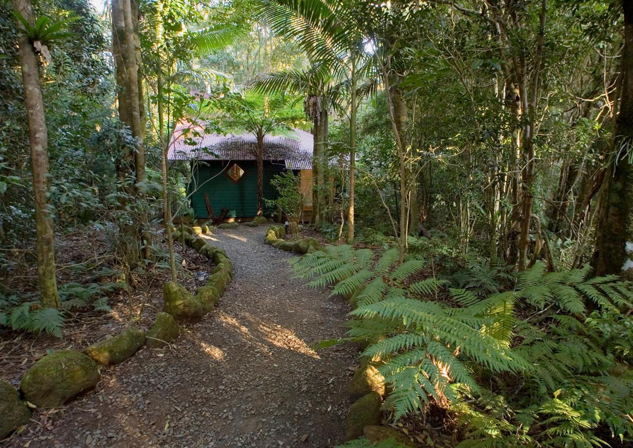 Springbrook Lyrebird Retreat