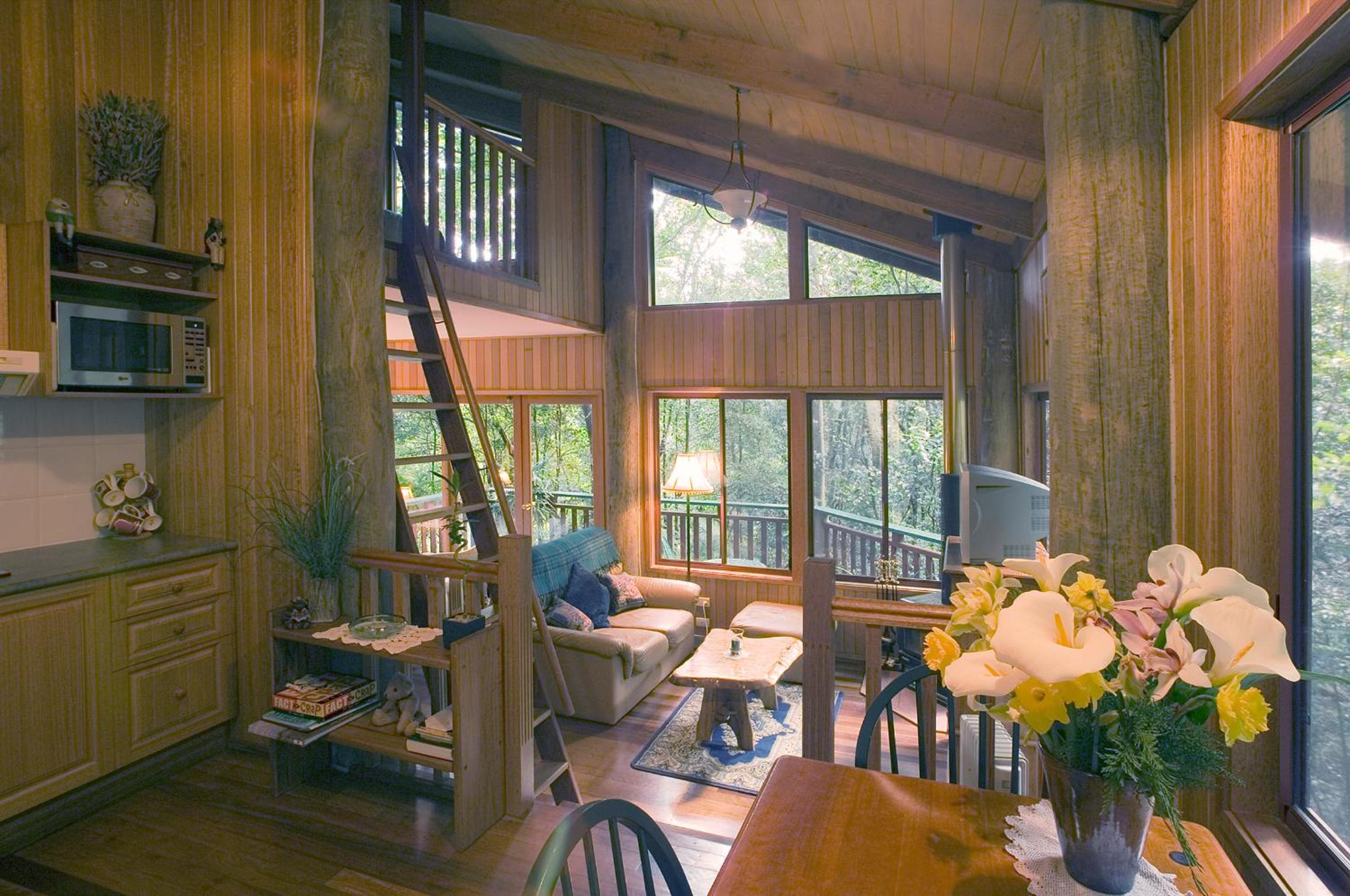 Springbrook Lyrebird Retreat