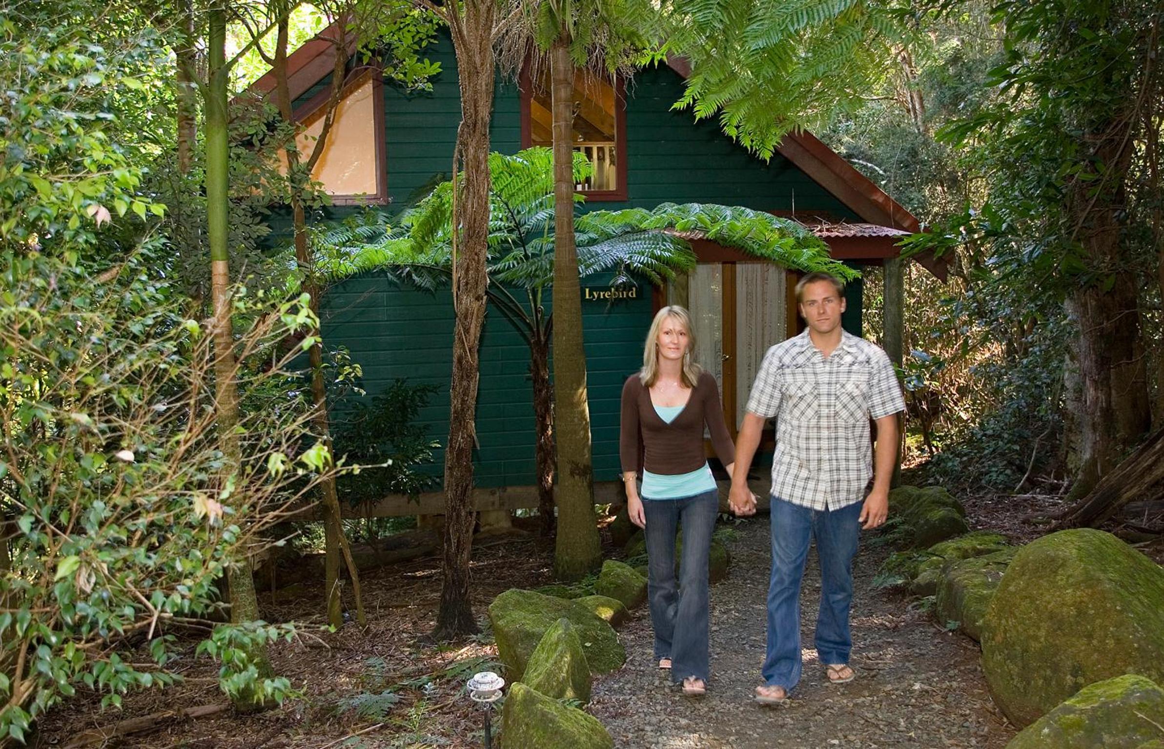 Springbrook Lyrebird Retreat