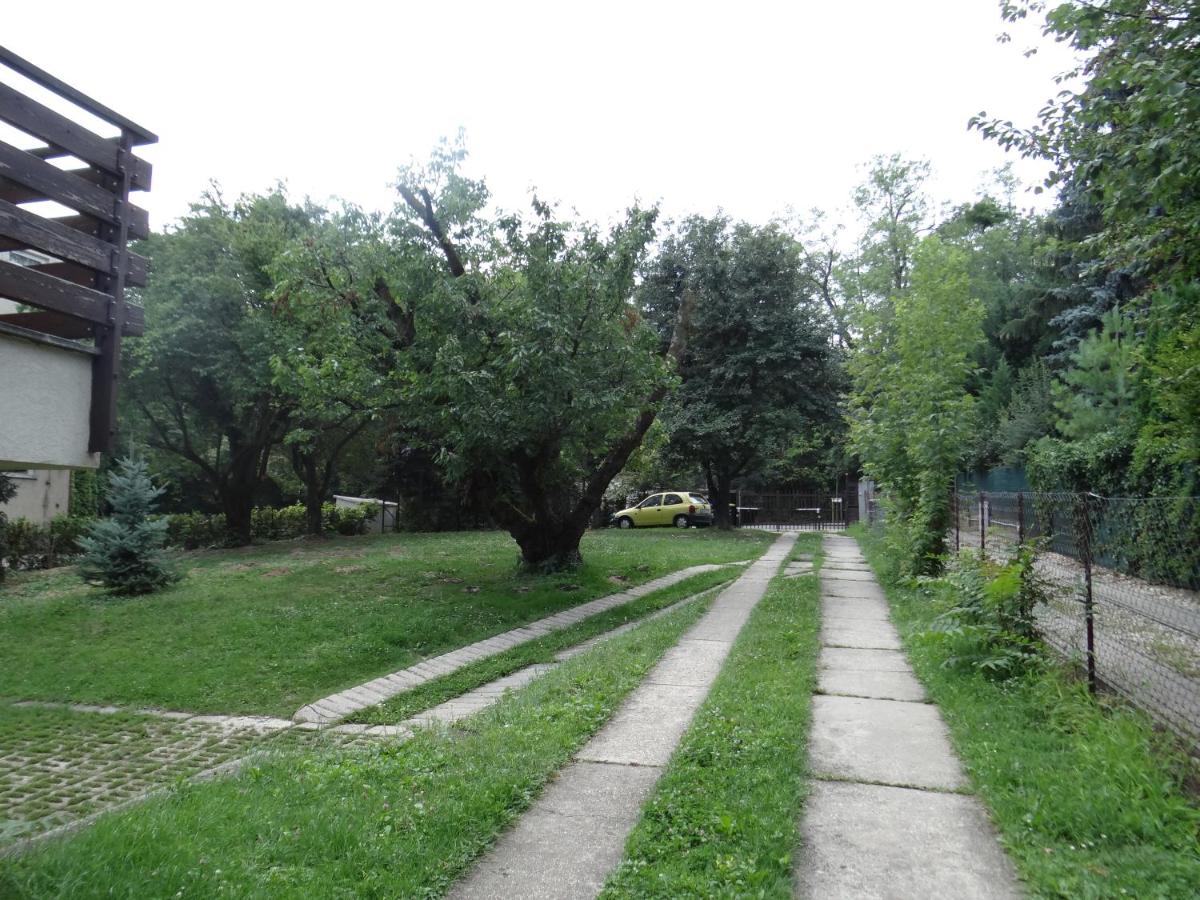 Photo 31