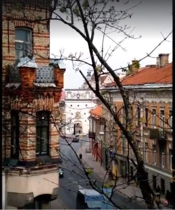 Prie Miesto Vartų view 3