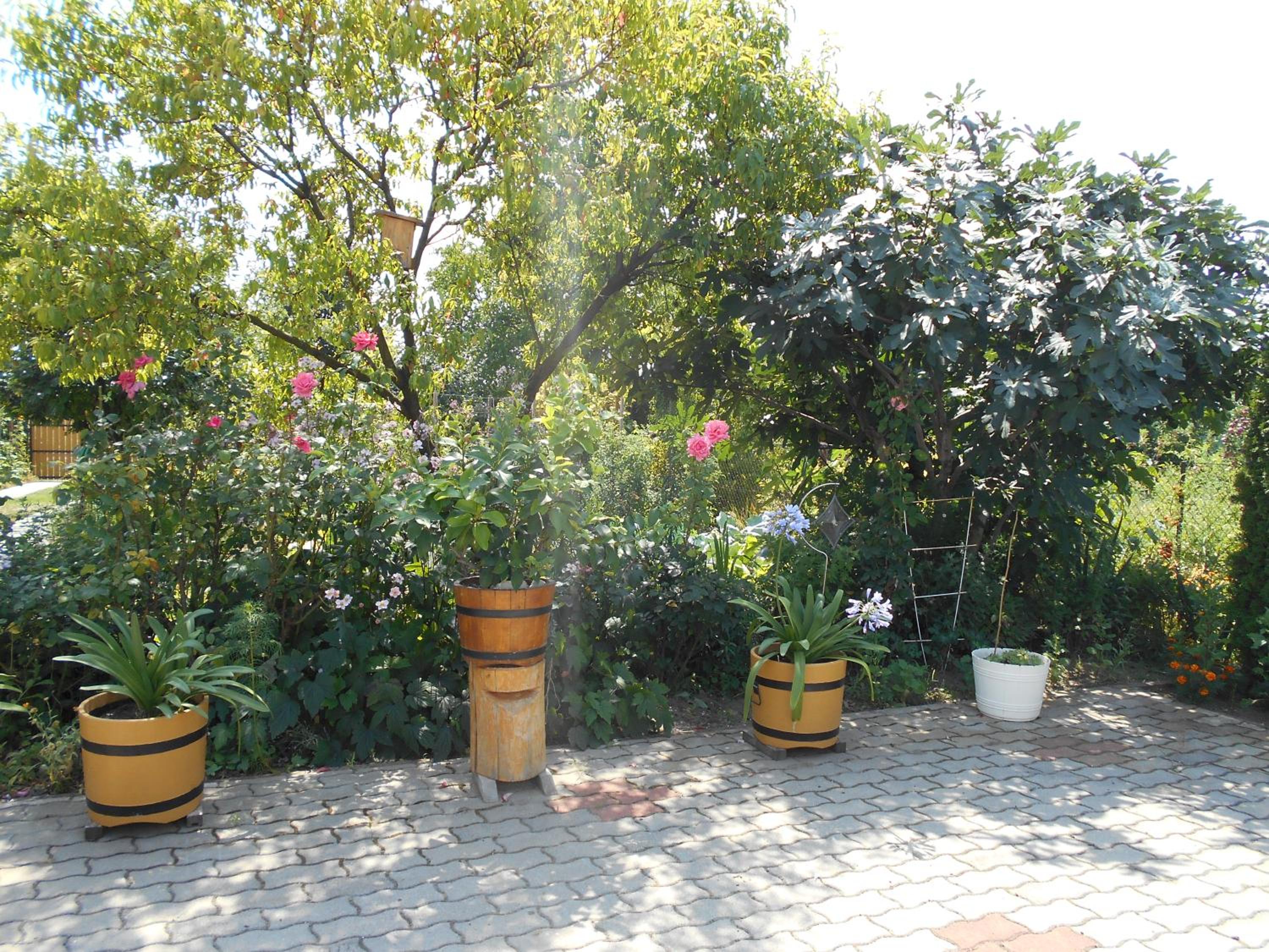 Photo 26