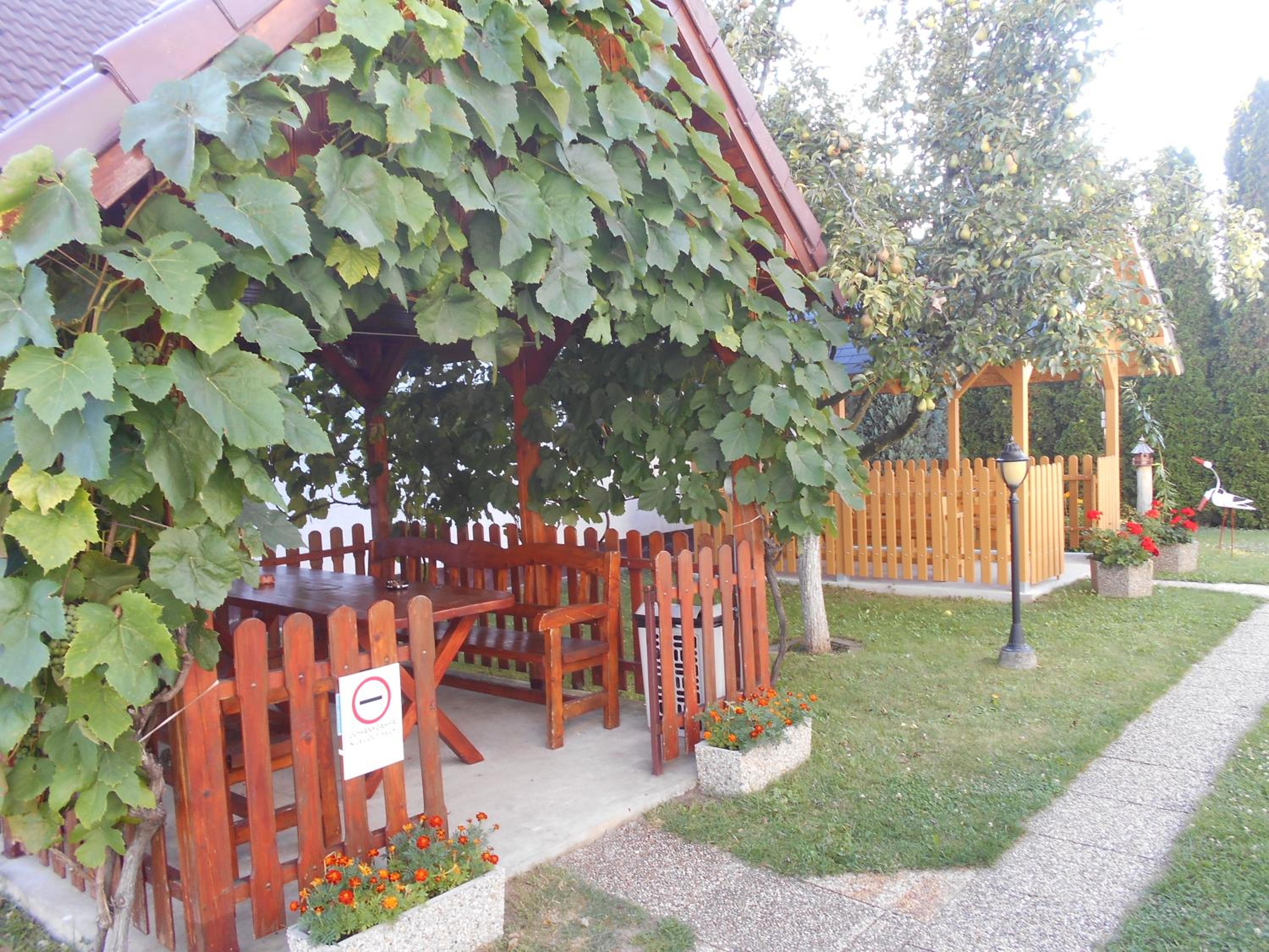 Photo 19