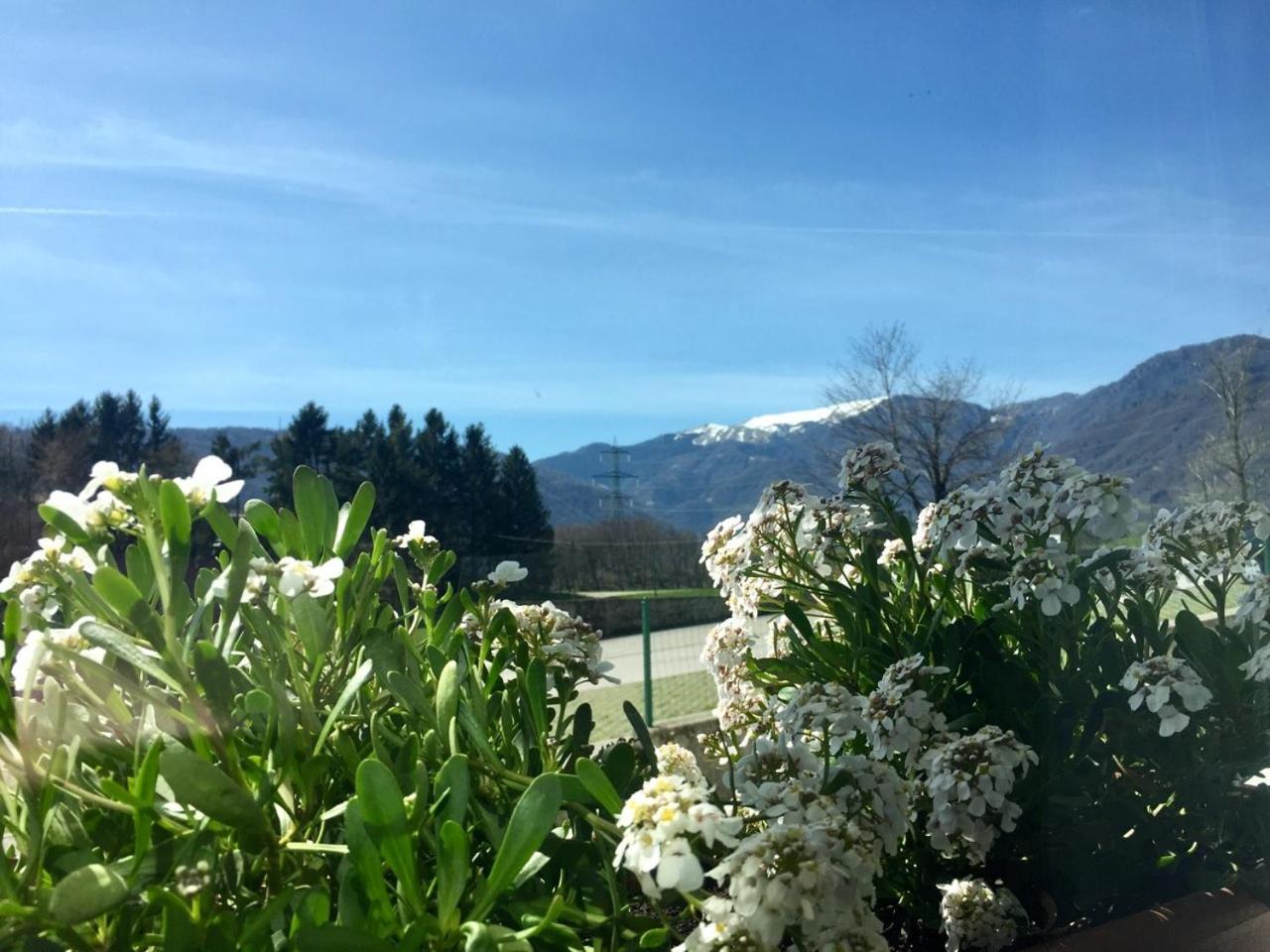 Locanda Chiocciola view 3