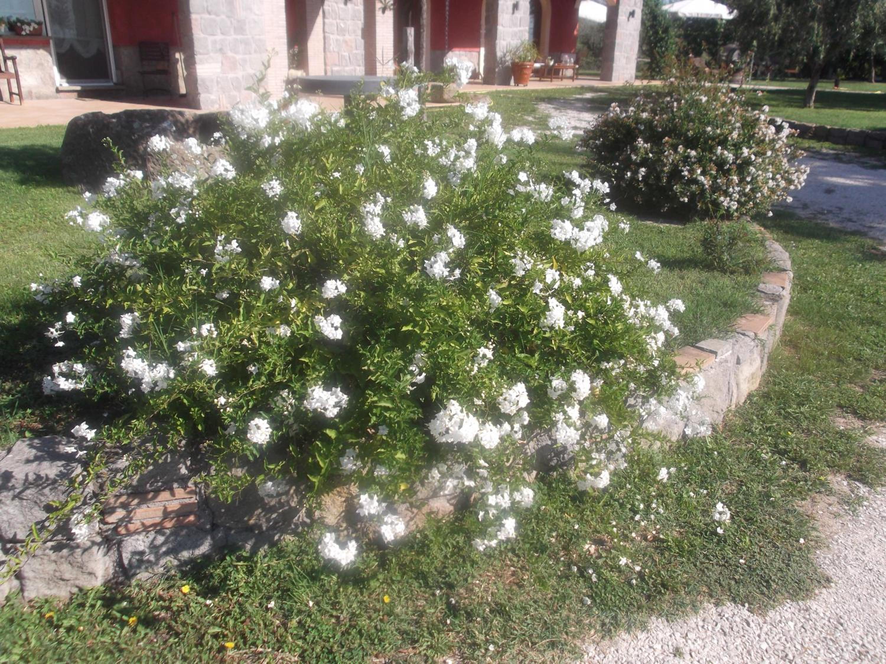 Photo 28