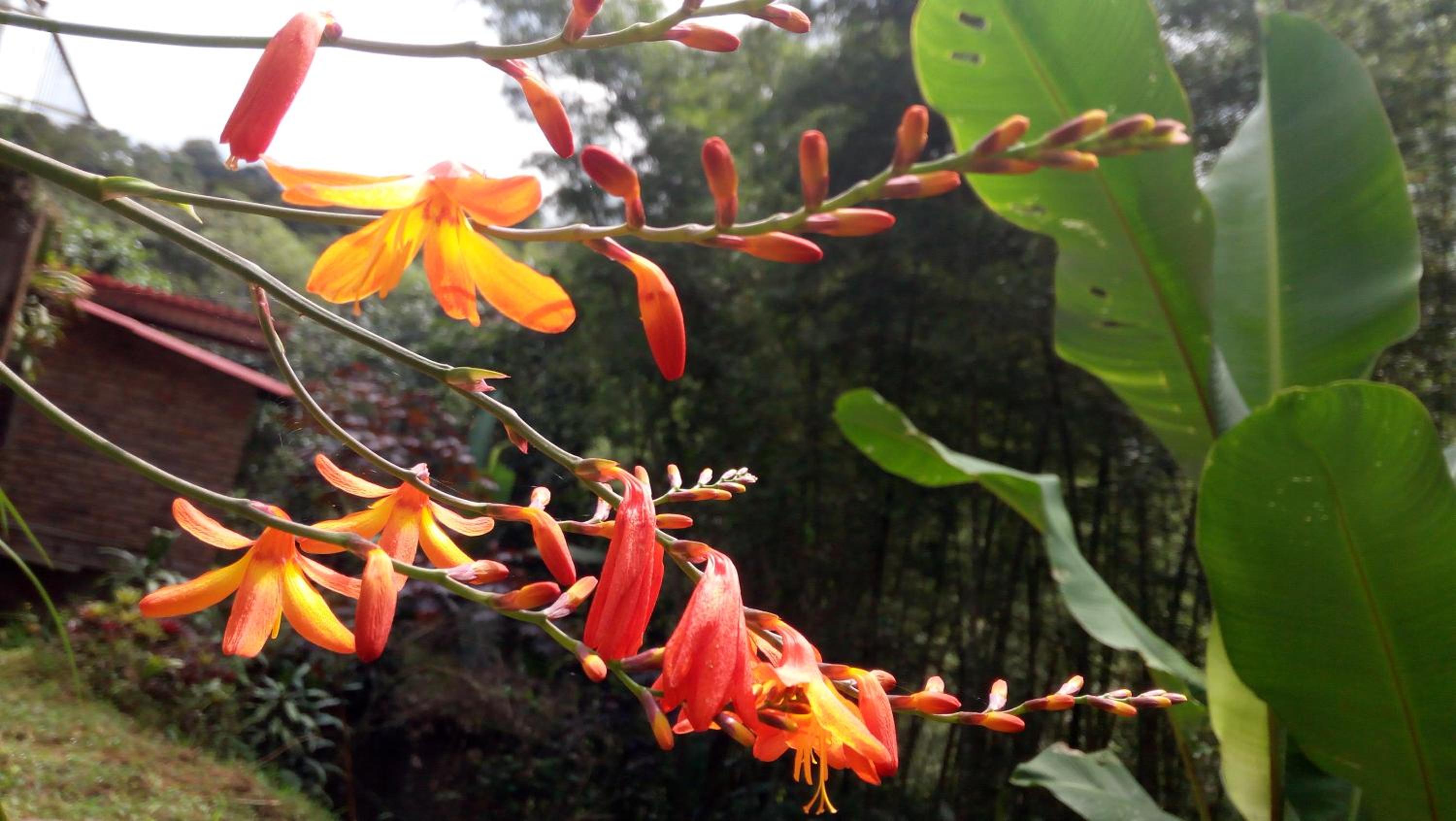Finca Agualinda